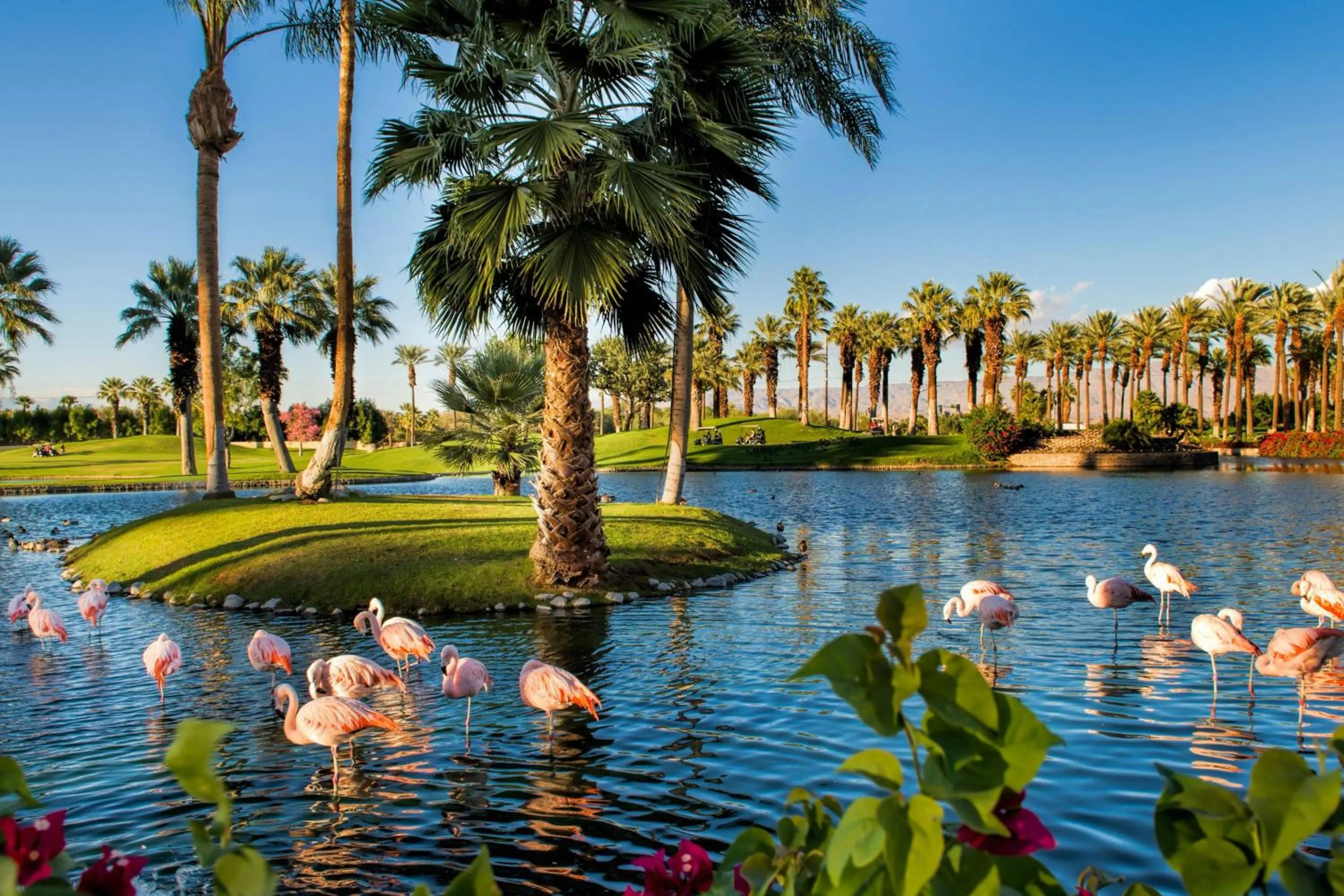 View (from property/room) in JW Marriott Desert Springs Resort & Spa