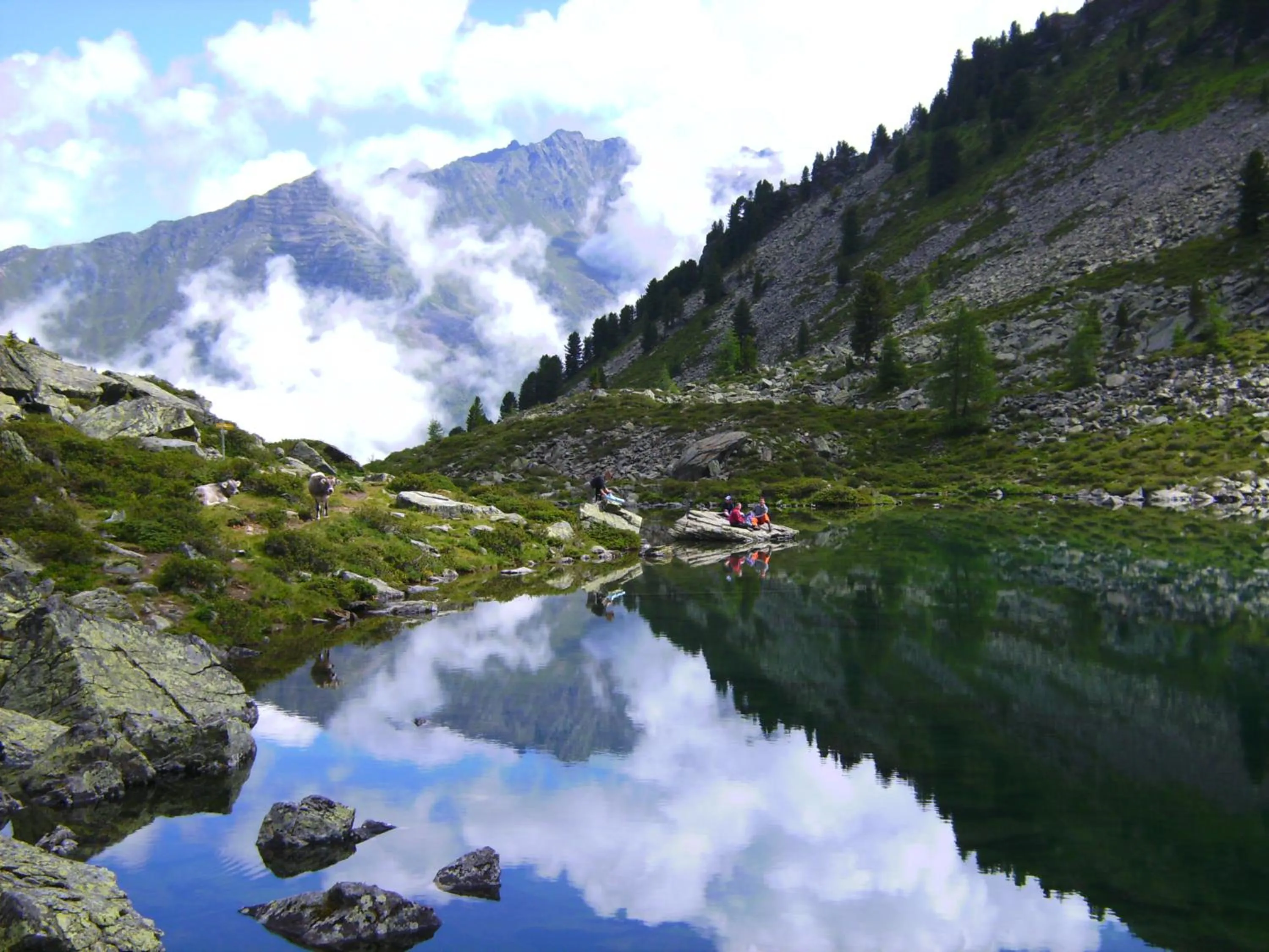 Natural landscape in Neuner Charlotte incl Skidepot an der Hochzeigerbahn