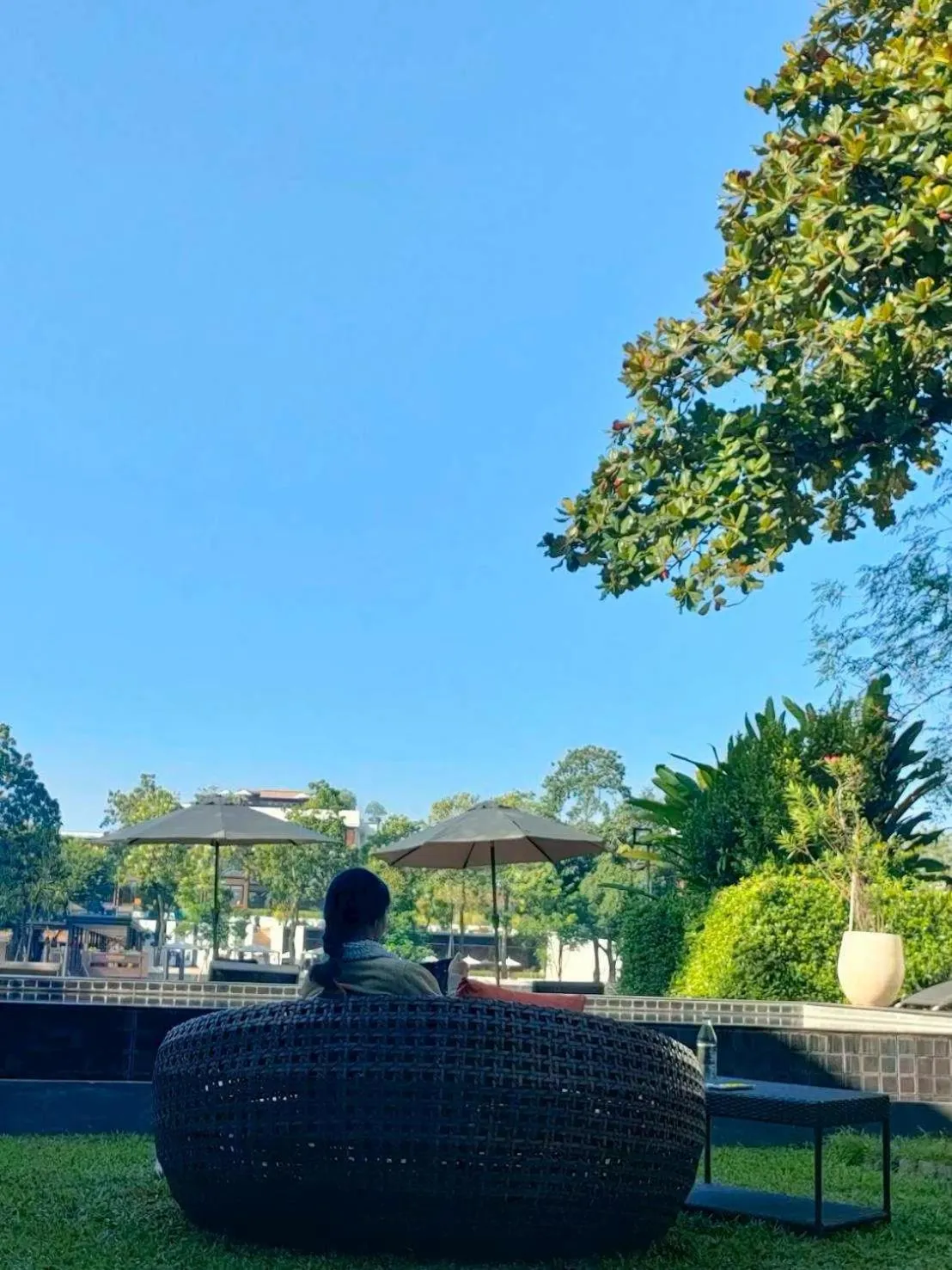 Garden in i-river chiangmai