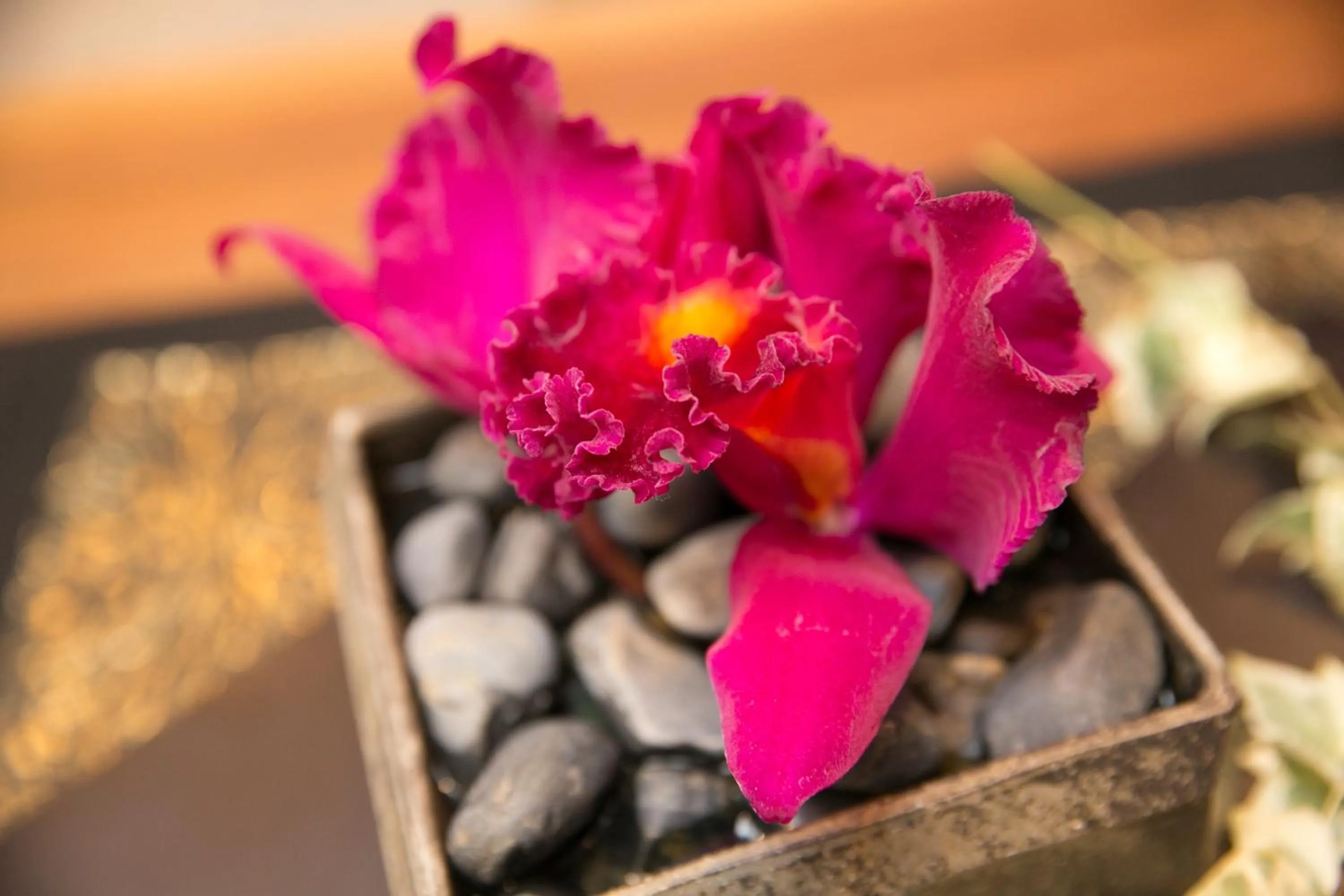 Area and facilities in Hosta Umekoji Akari