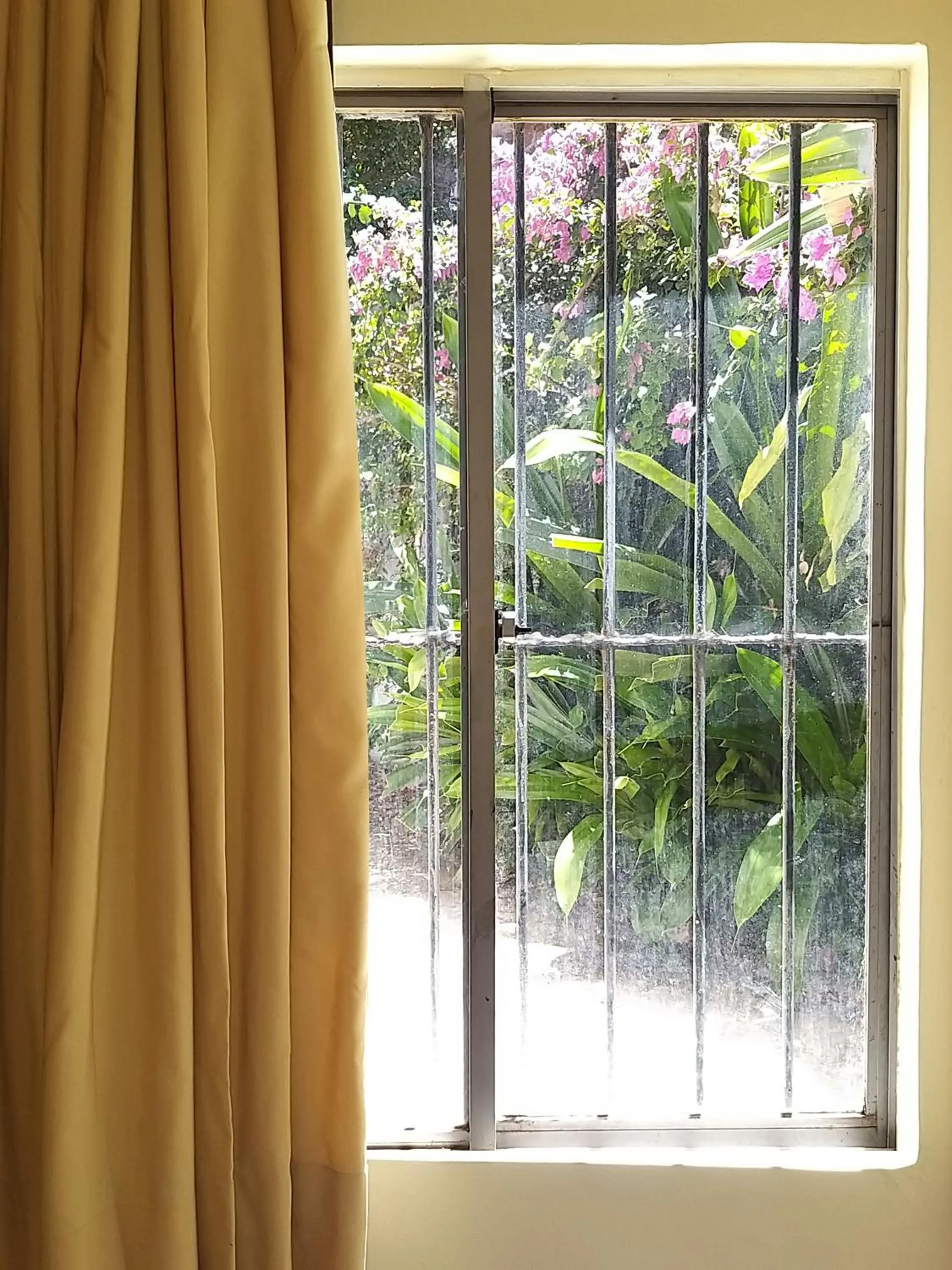 Inner courtyard view in Hotel Costeiro