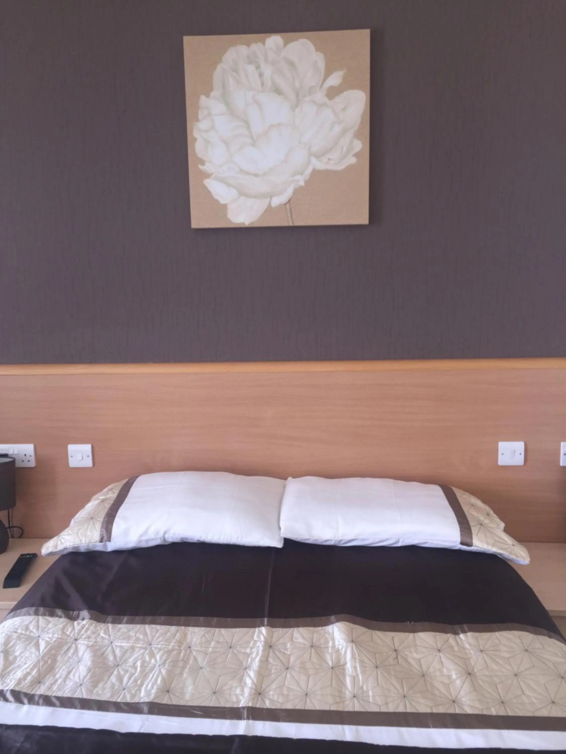 Bed in Seashells