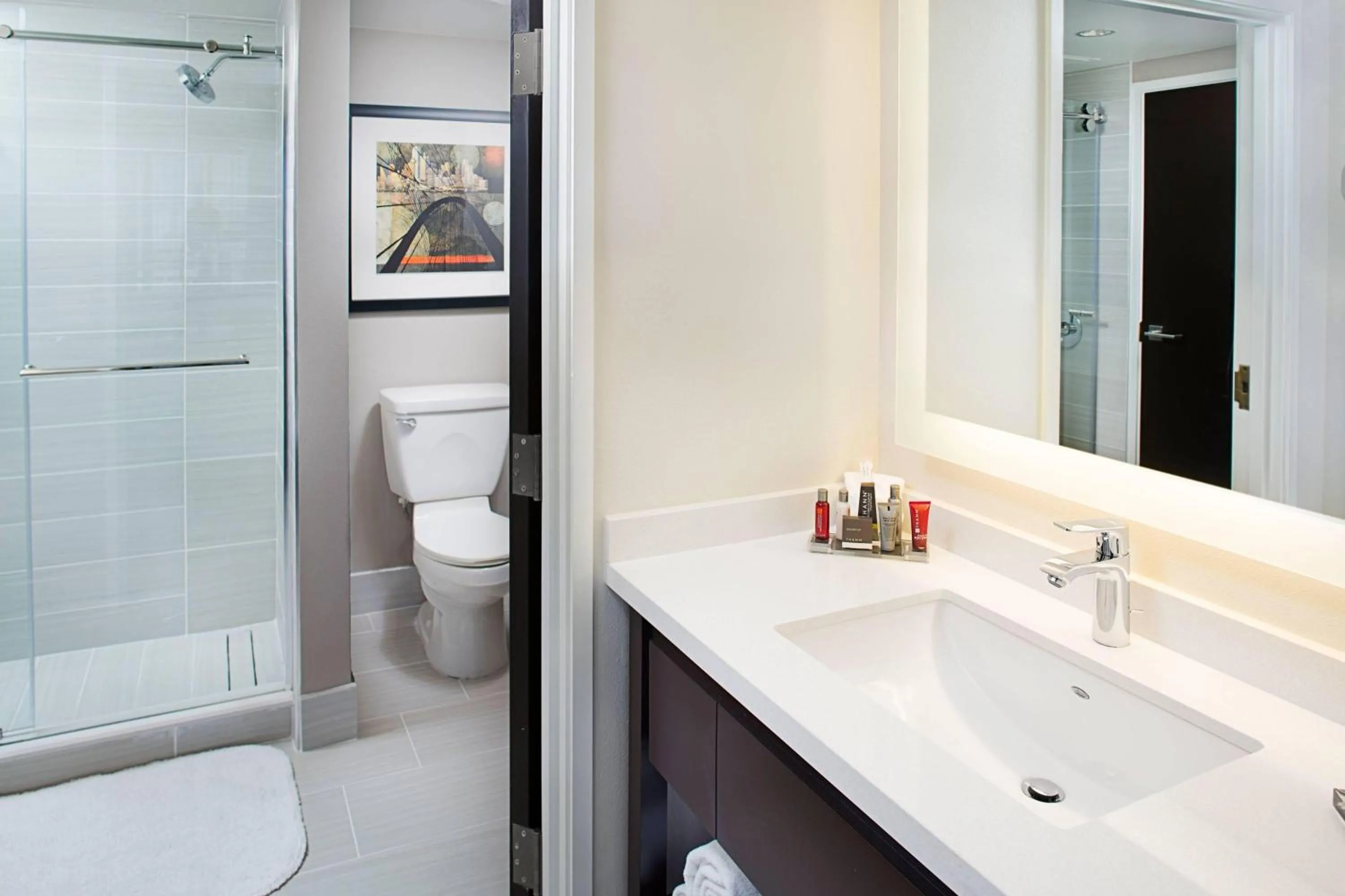 Bathroom in Dallas Marriott Suites Medical/Market Center