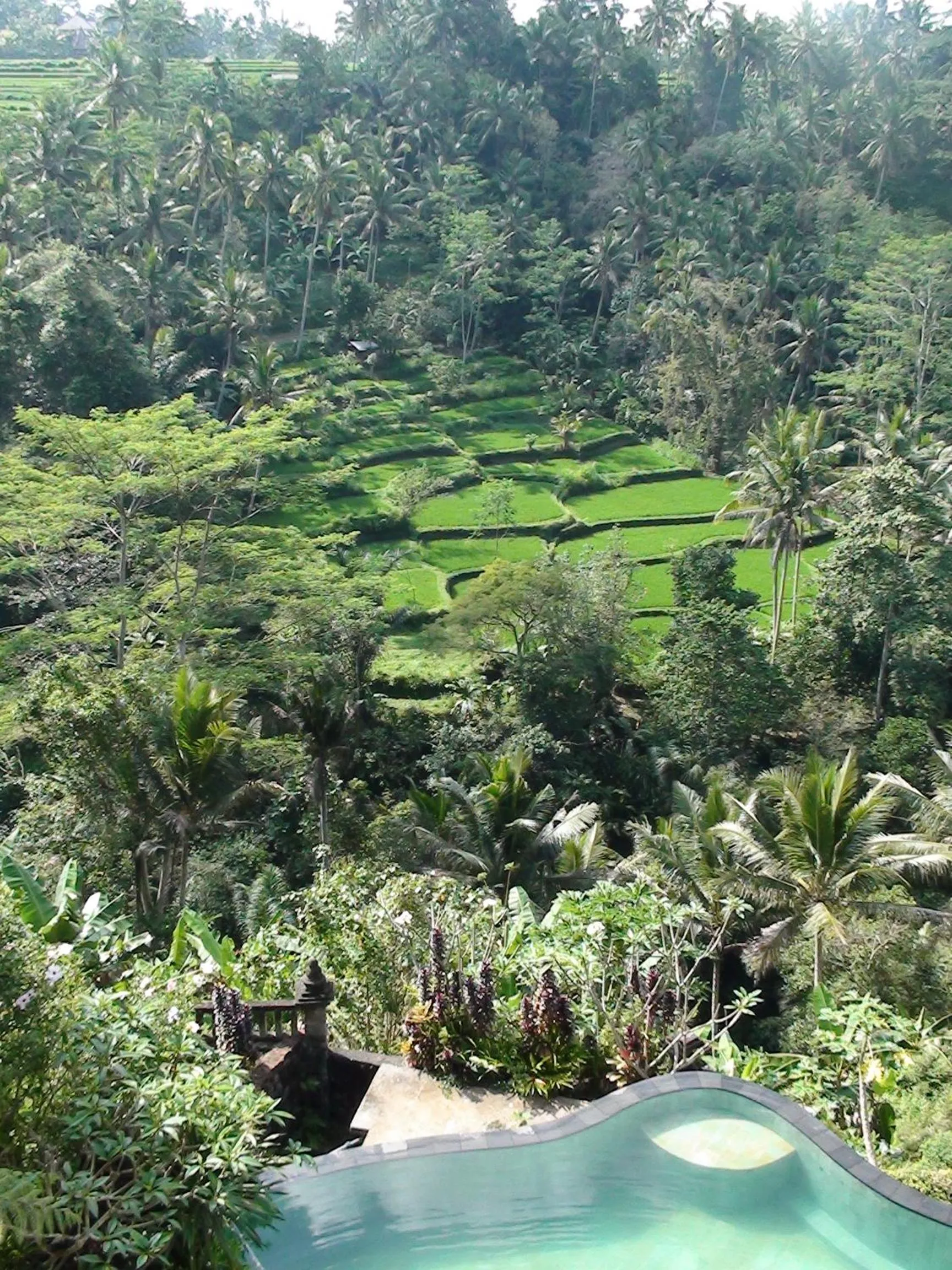 Natural landscape in Tirta Asri Ubud Villa