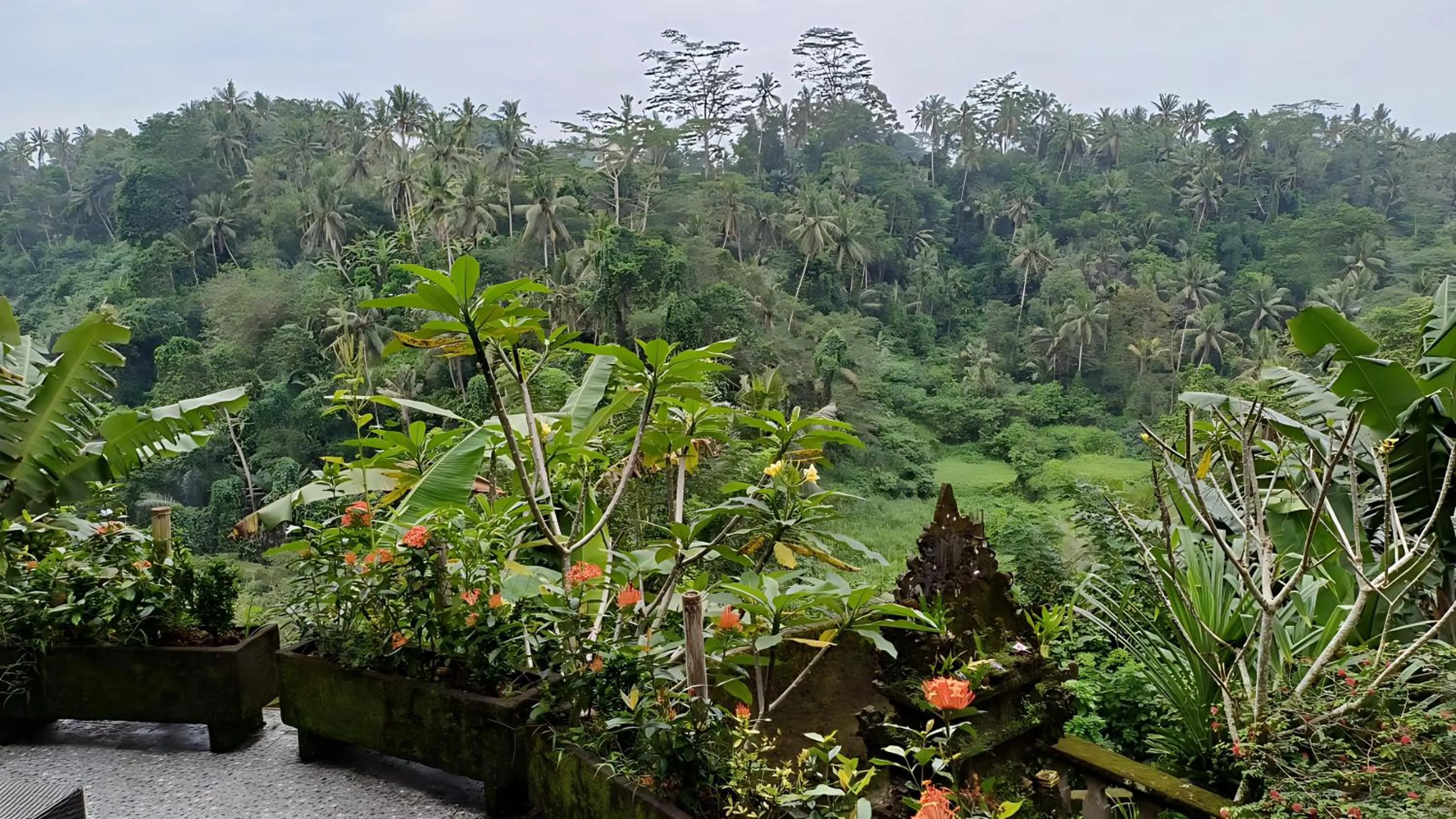 View (from property/room) in Tirta Asri Ubud Villa
