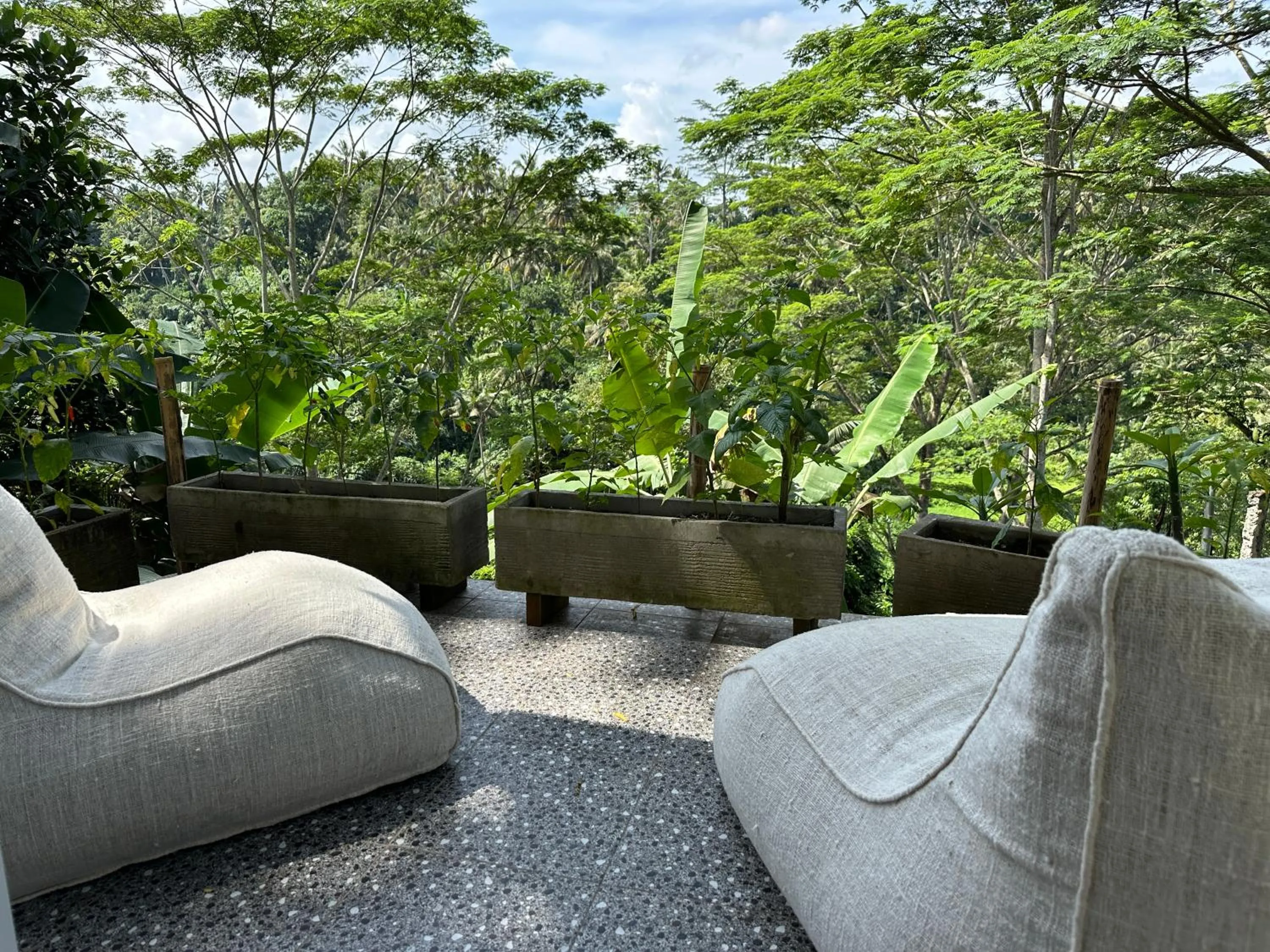 Natural landscape in Tirta Asri Ubud Villa