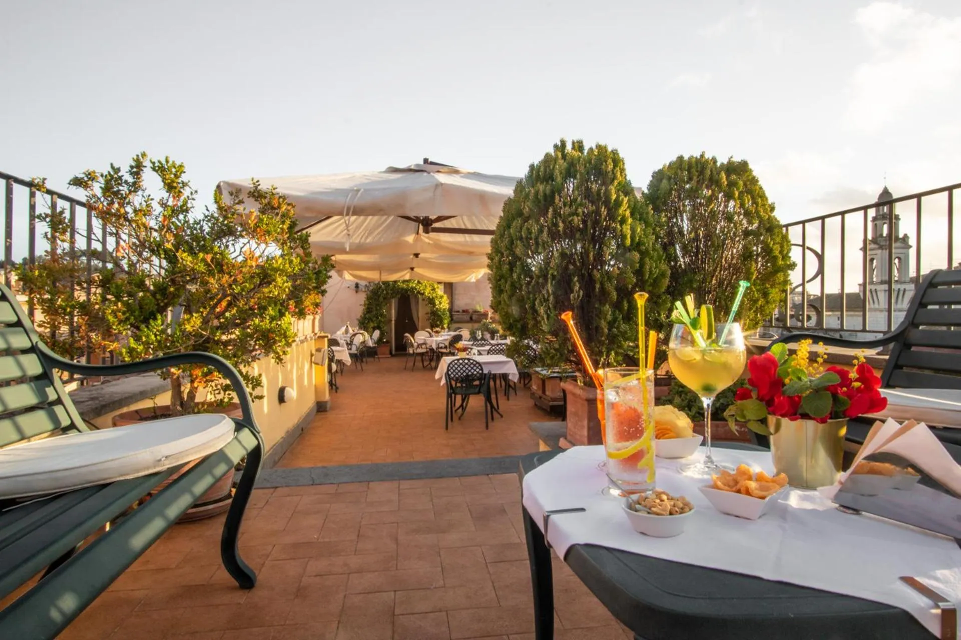 Garden in Hosianum Palace