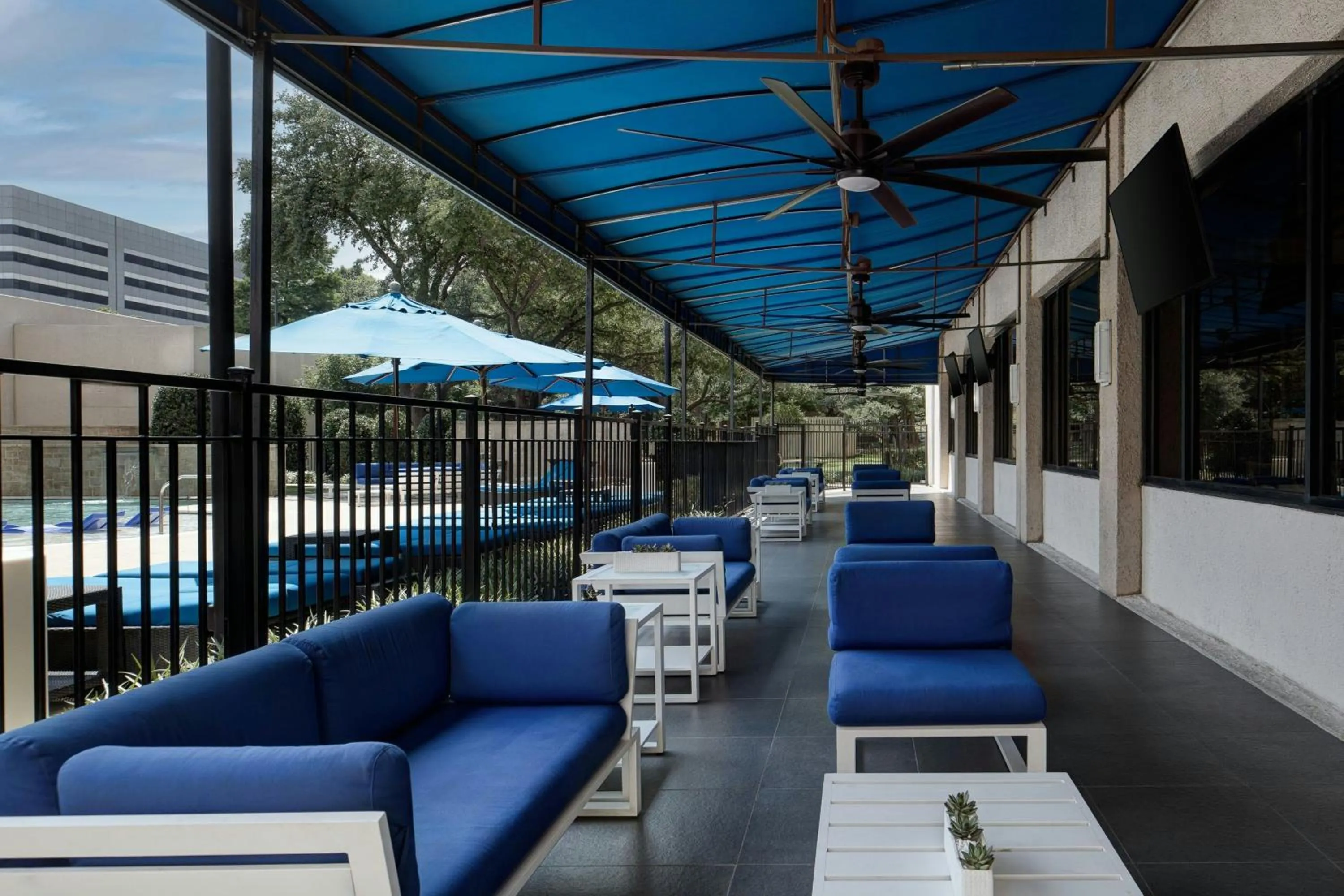 Swimming pool in Dallas-Addison Marriott Quorum by the Galleria