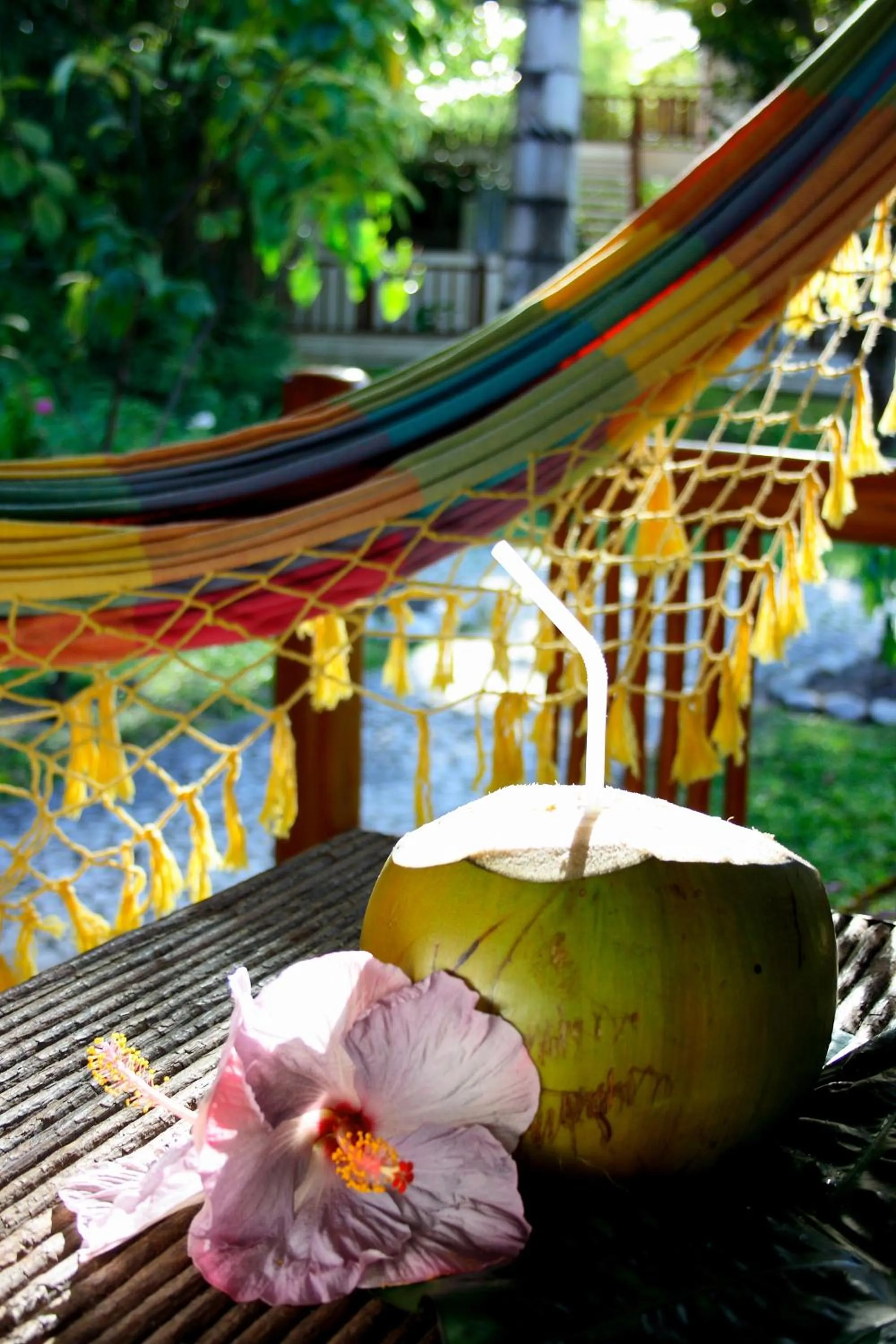 View (from property/room) in Manacá Pousada Parque