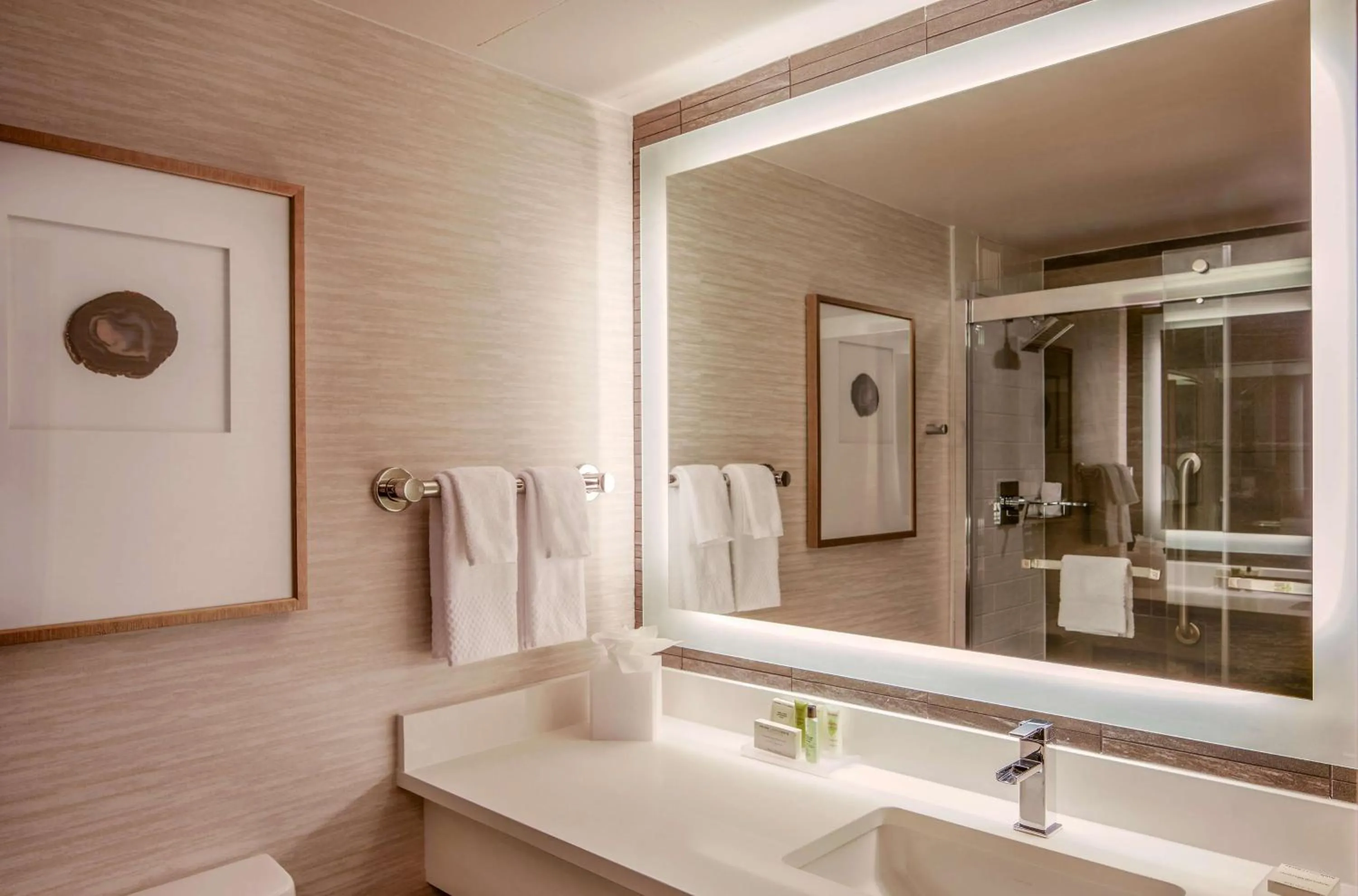 Bathroom in Hilton Denver City Center