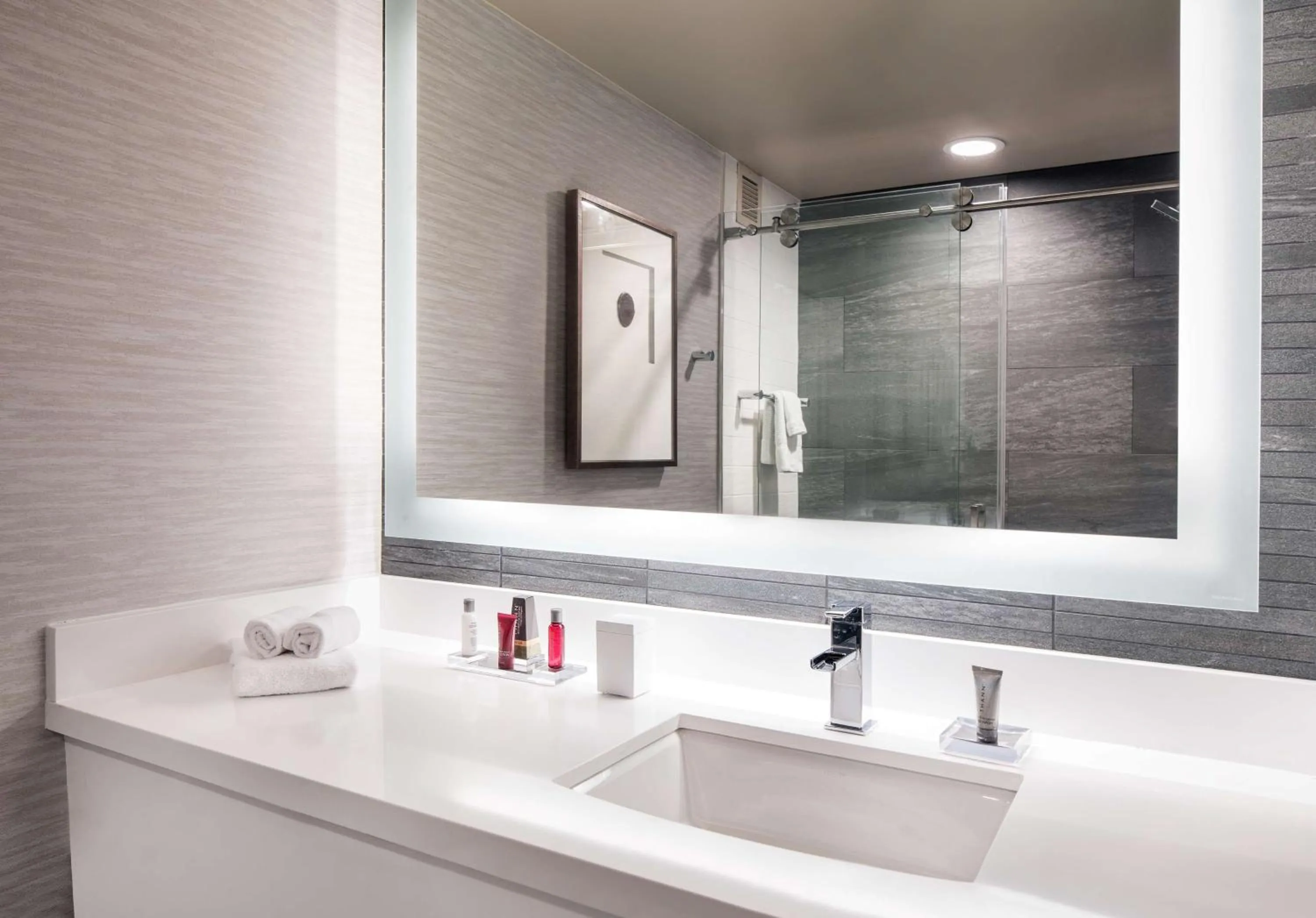 Bathroom in Hilton Denver City Center