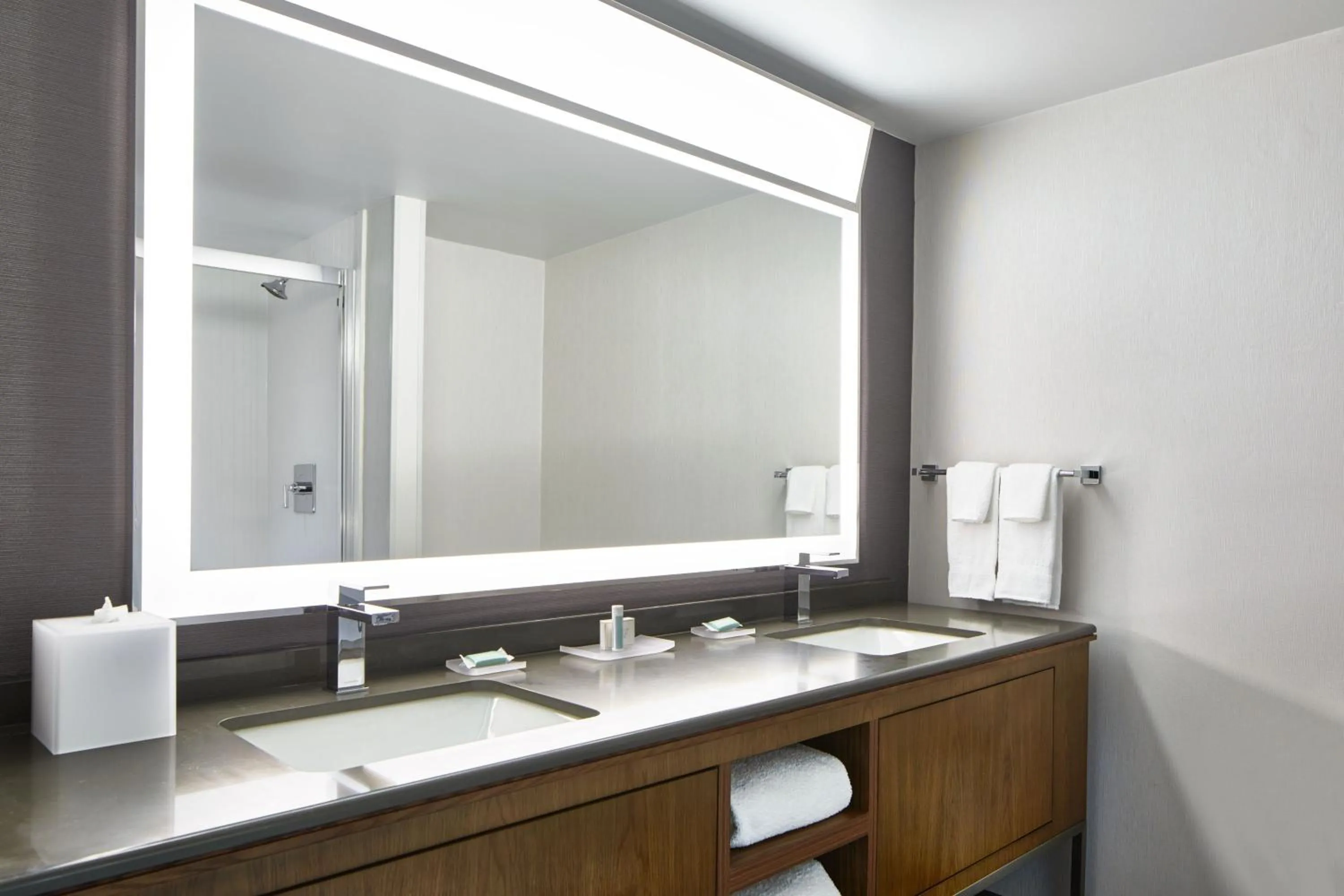 Bathroom in Courtyard by Marriott Detroit Downtown