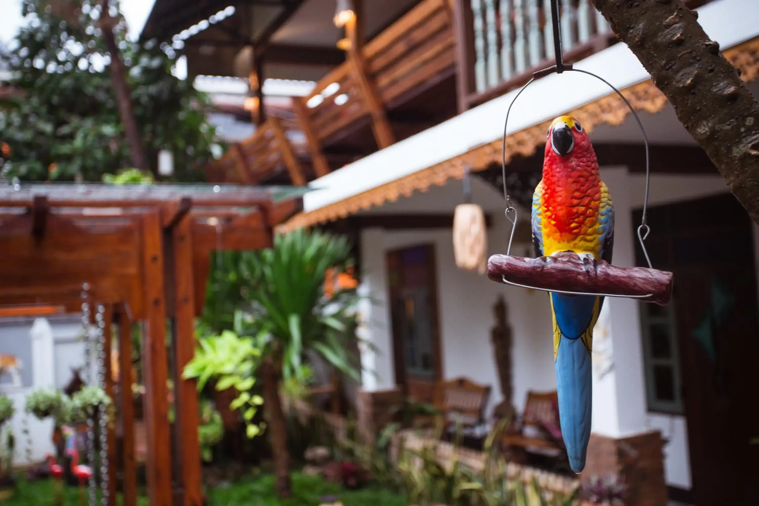 Garden view in Pao Come Boutique House Garden view in Pao Come Boutique House