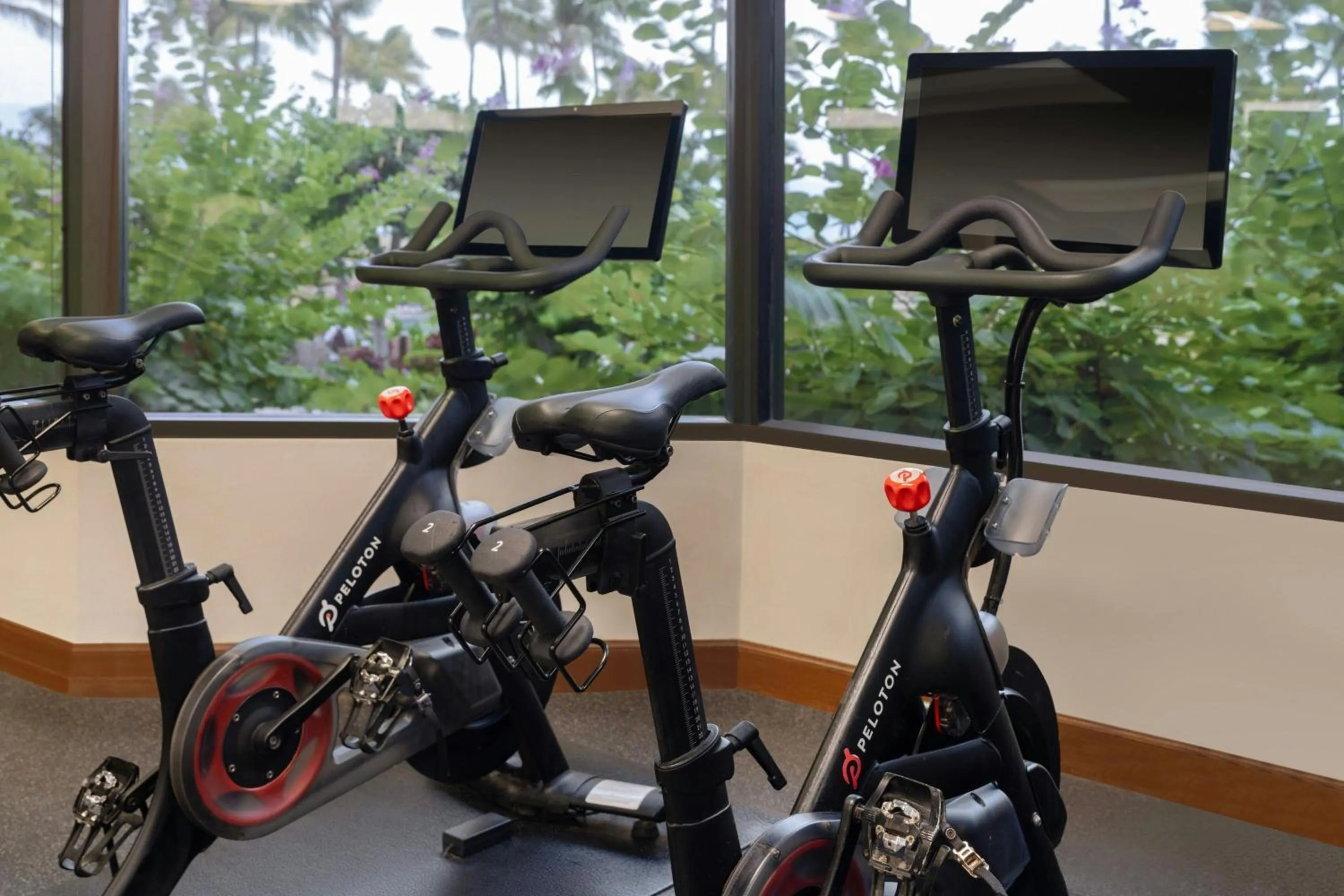 Fitness centre/facilities in Marriott's Maui Ocean Club - Molokai, Maui & Lanai Towers