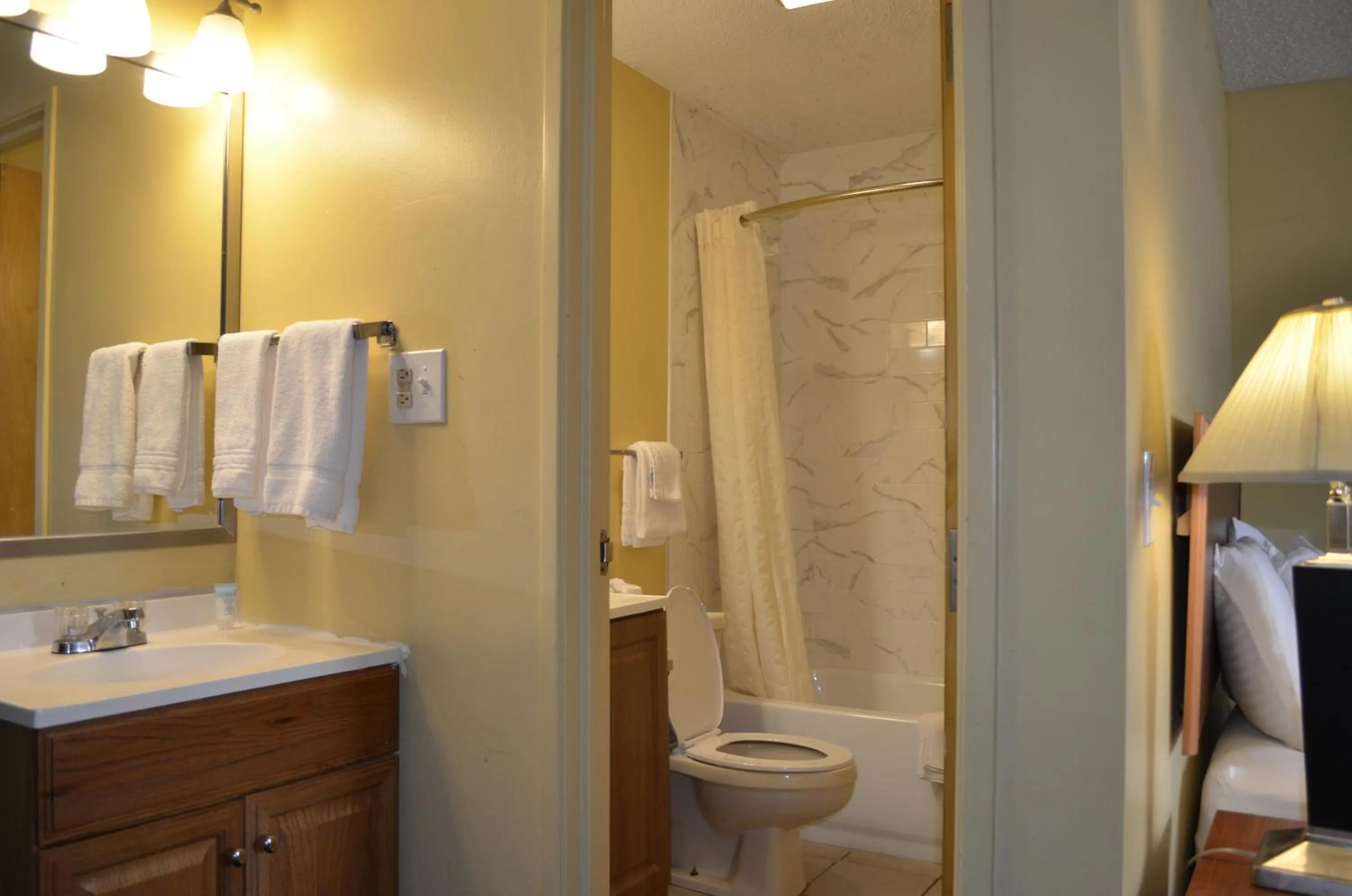 Bathroom in Budget Inn Williamsville