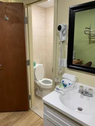 Bathroom in Budget Inn Williamsville