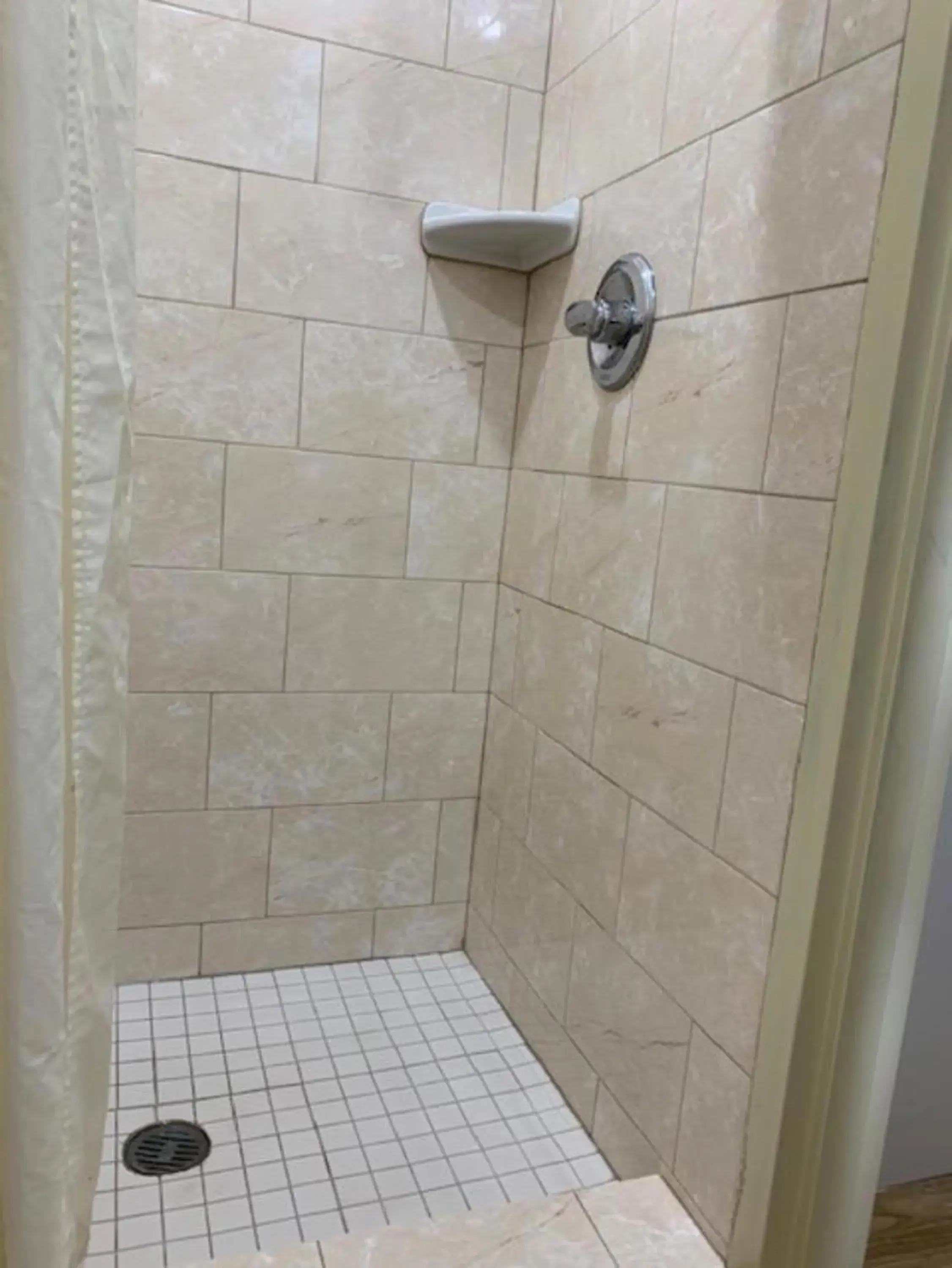 Shower, Bathroom in Budget Inn Williamsville