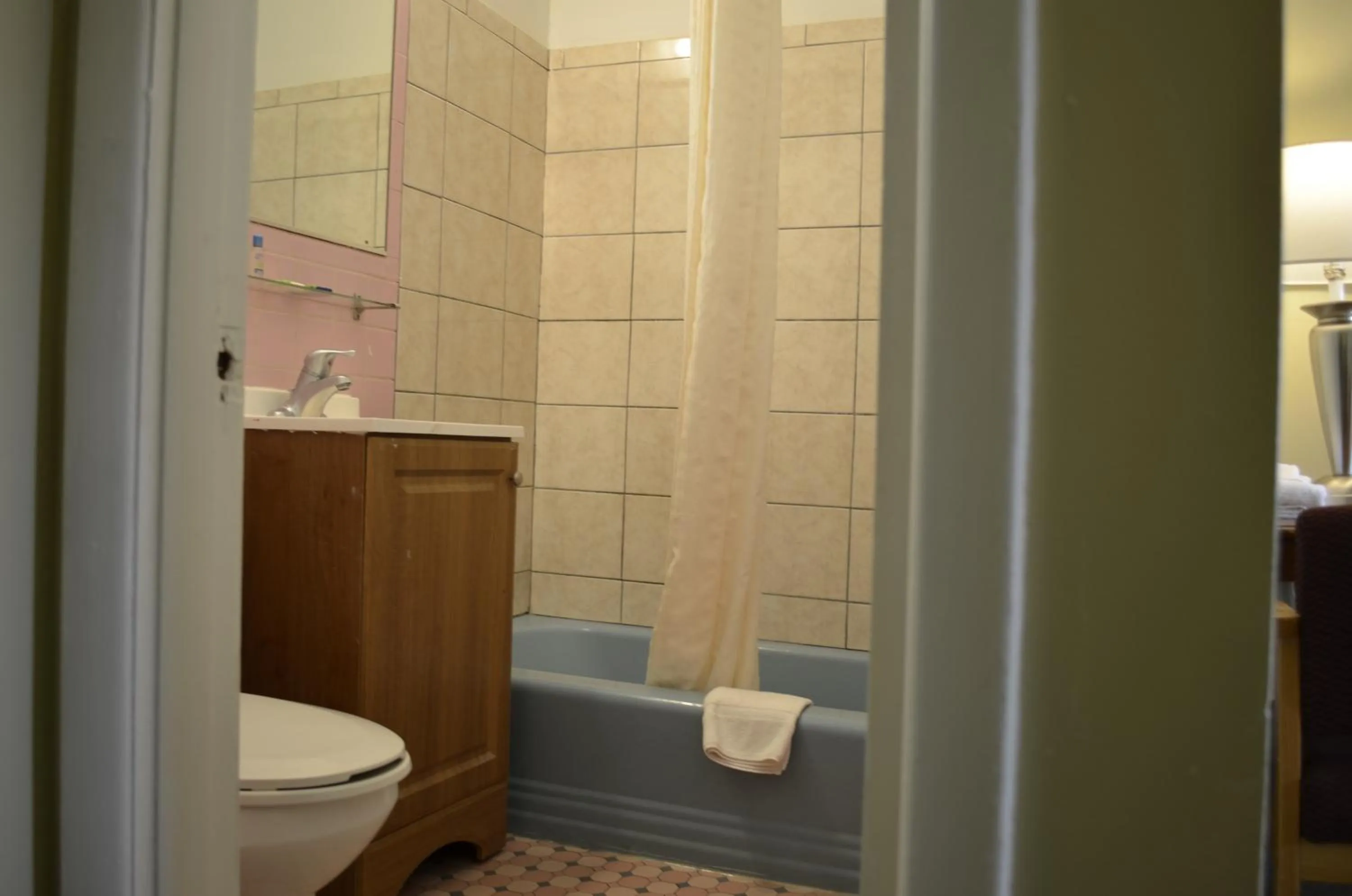 Bathroom in Budget Inn Williamsville