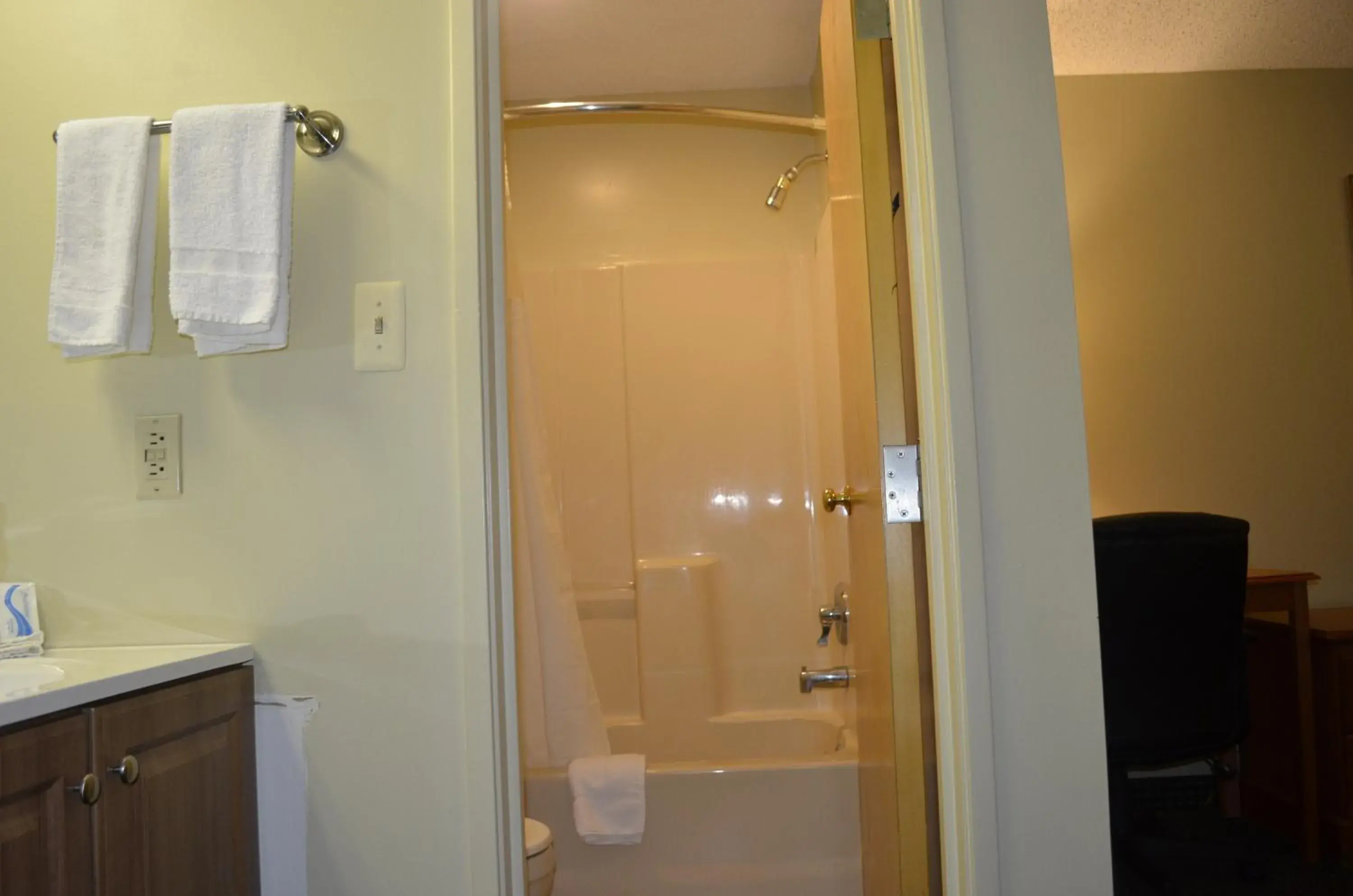 Shower, Bathroom in Budget Inn Williamsville