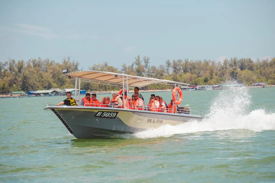 Activities in Al Afiah Hotel