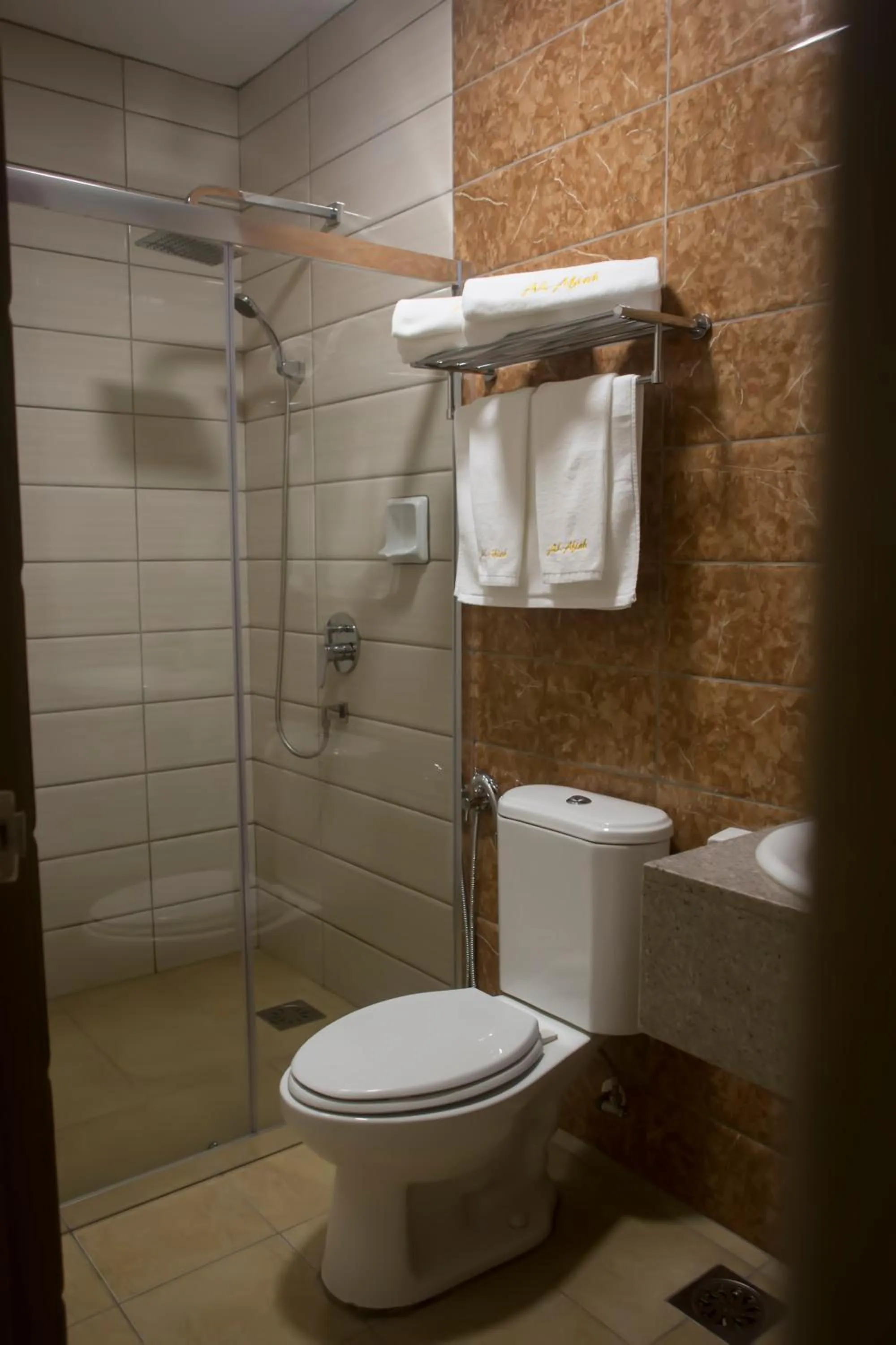Toilet in Al Afiah Hotel