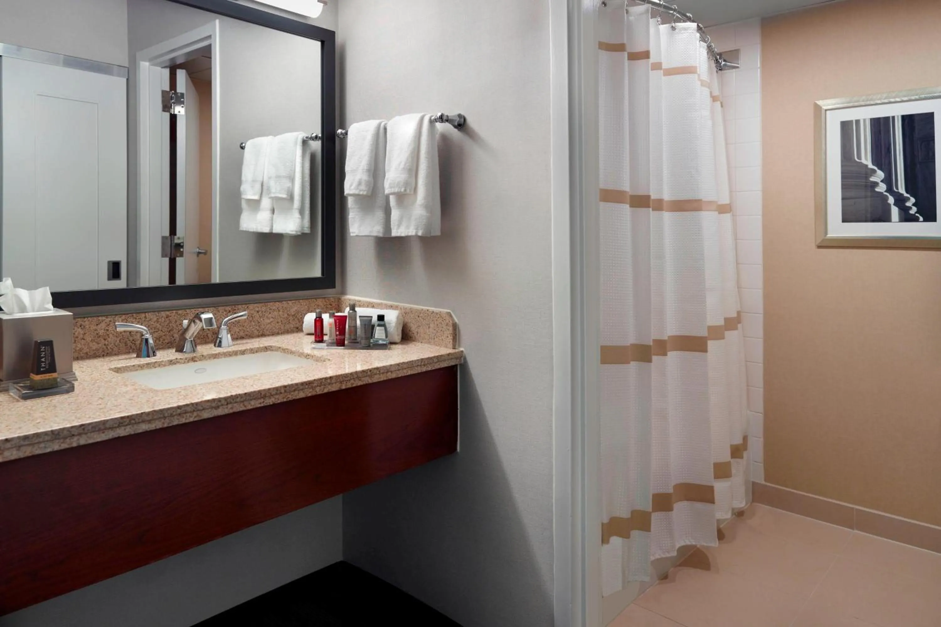 Bathroom in Washington Dulles Airport Marriott