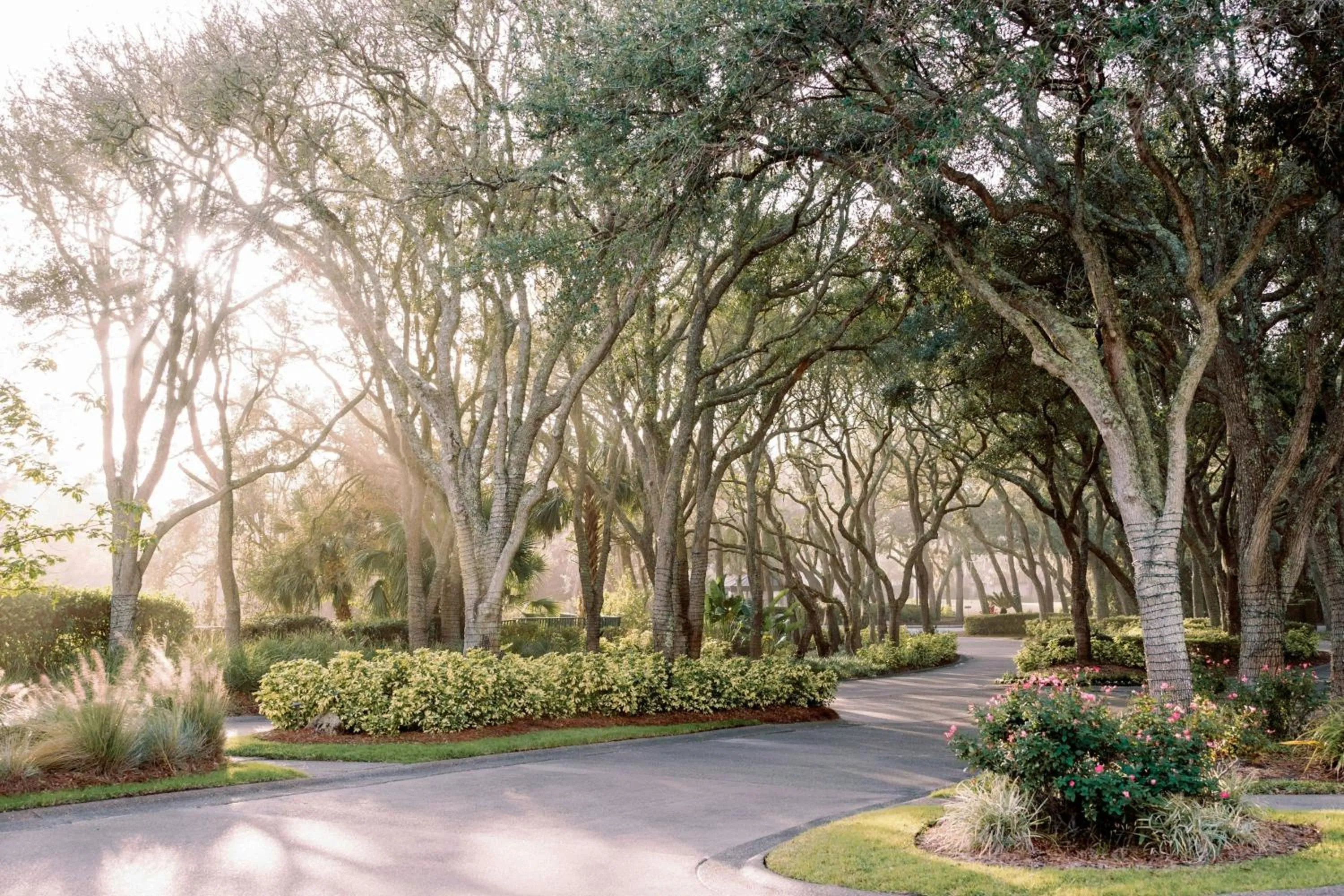 View (from property/room) in The Ritz-Carlton, Amelia Island