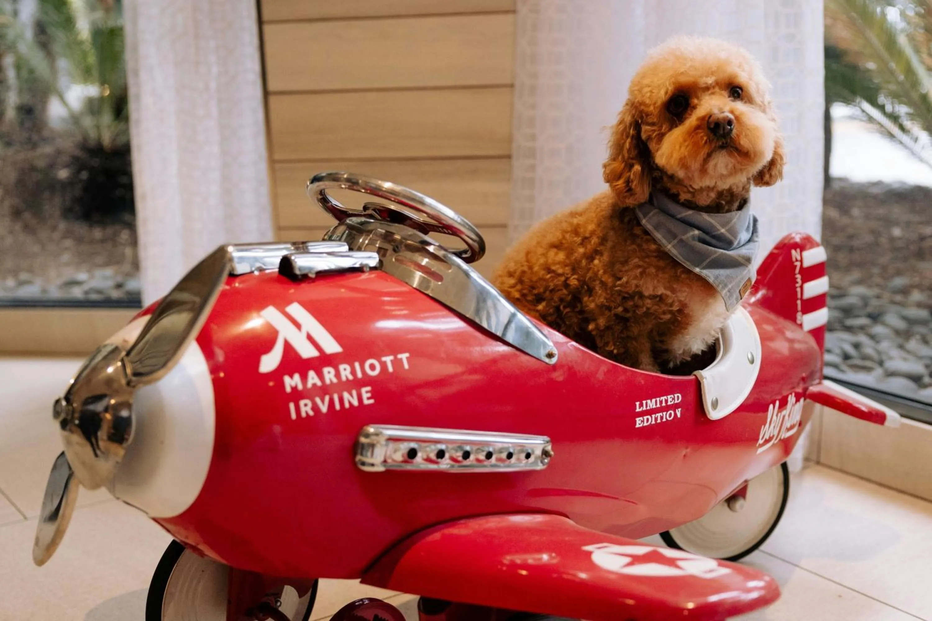 Other in Irvine Marriott