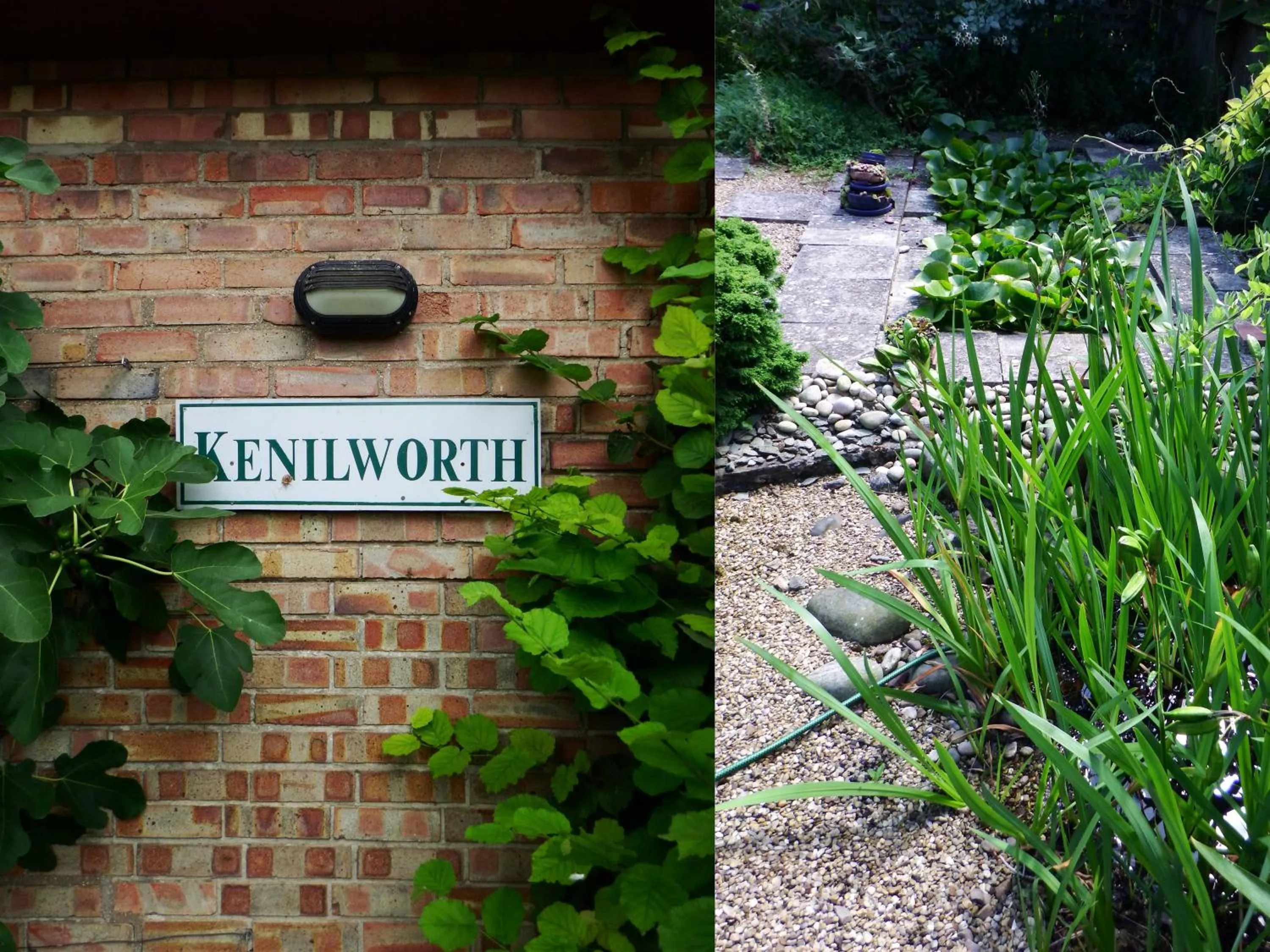 Property building in Kenilworth Garden Accomodation