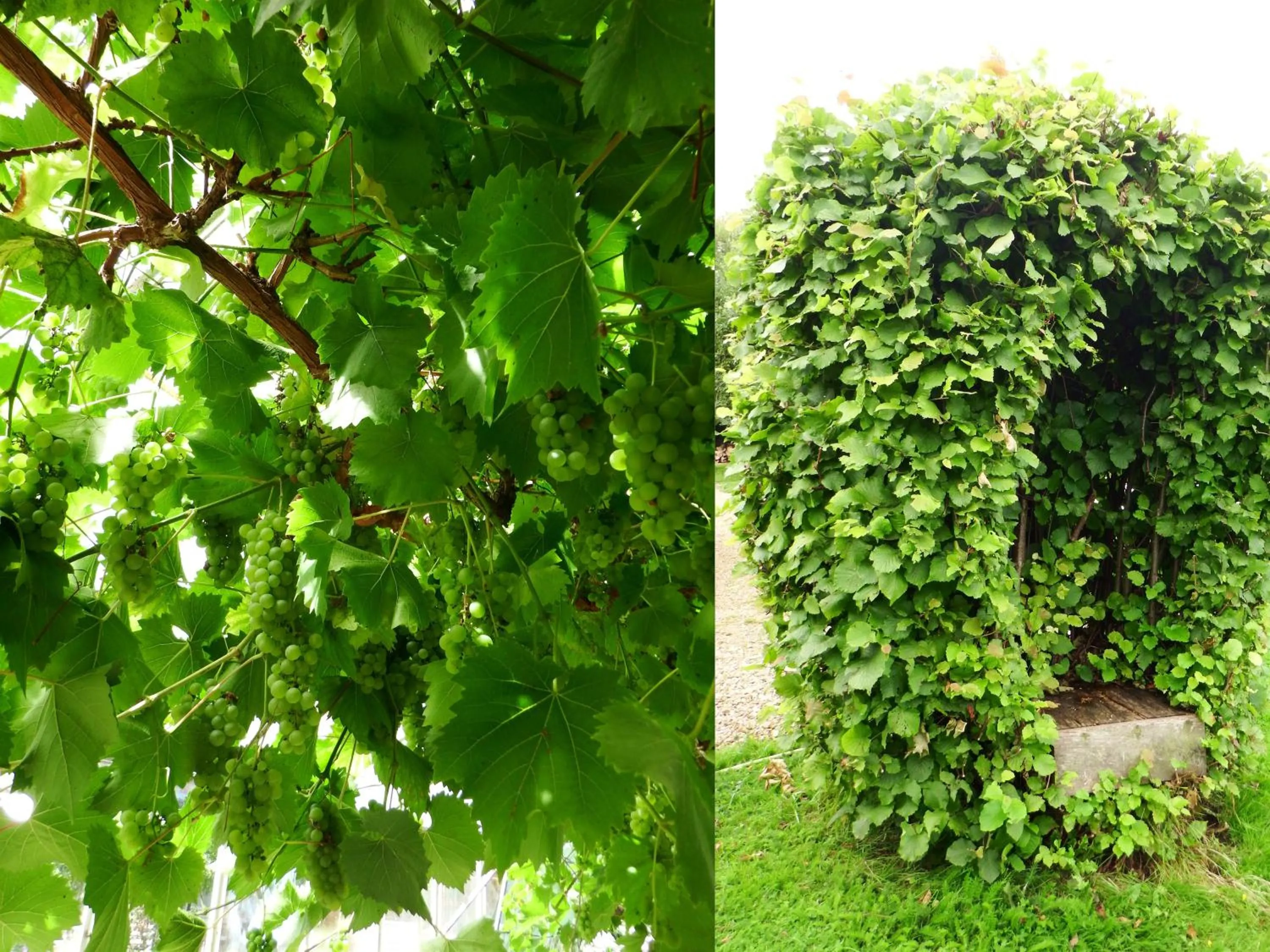 Other in Kenilworth Garden Accomodation