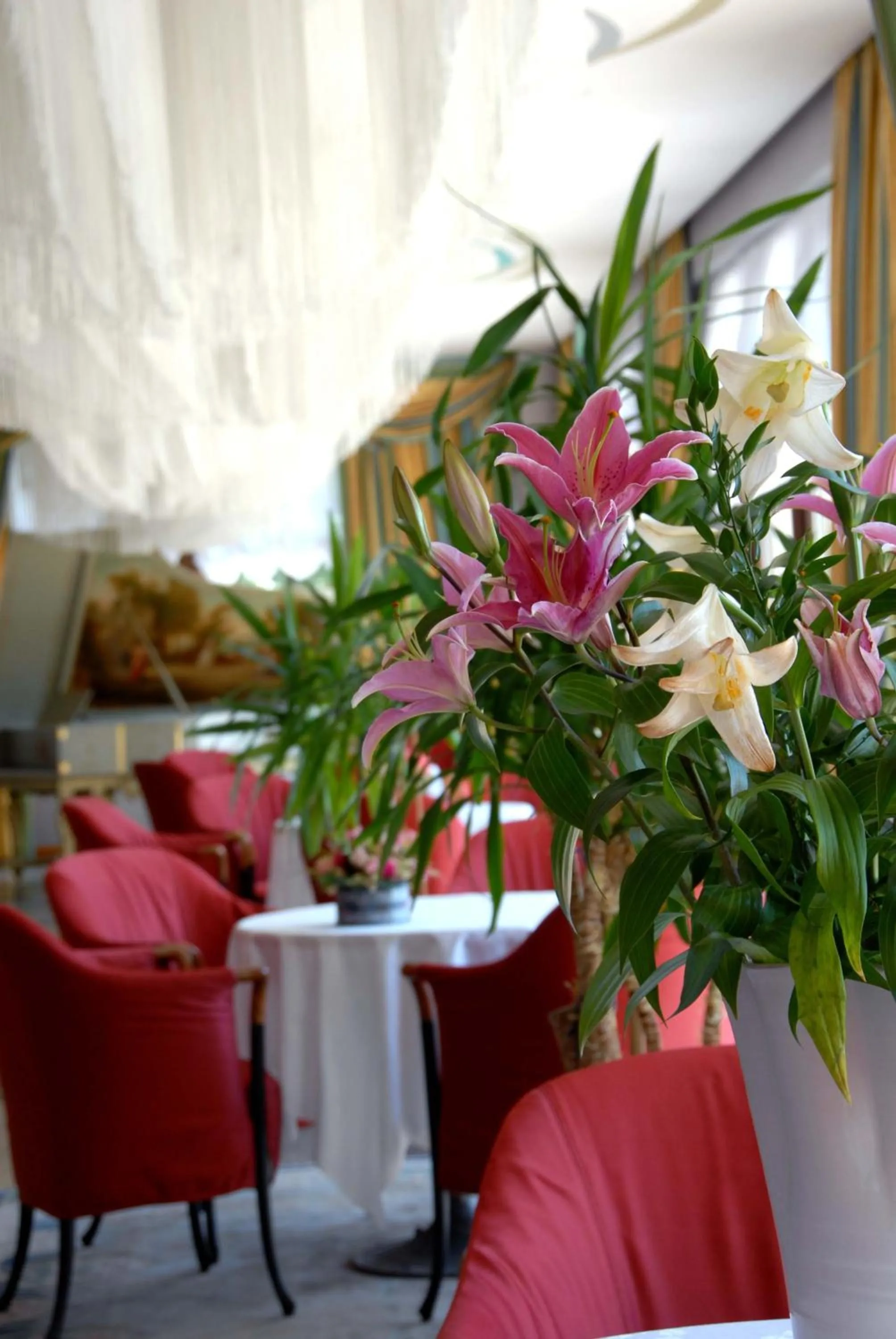 Lounge or bar in Grand Hotel Astoria