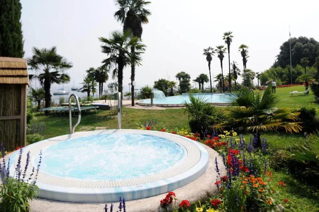 Hot Tub, Swimming Pool in Hotel Du Parc