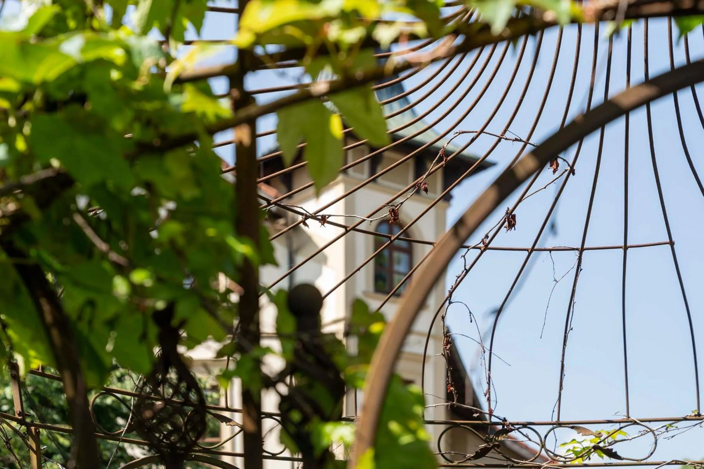 Property building in Villa Fantasia Budget Boutique Hotel