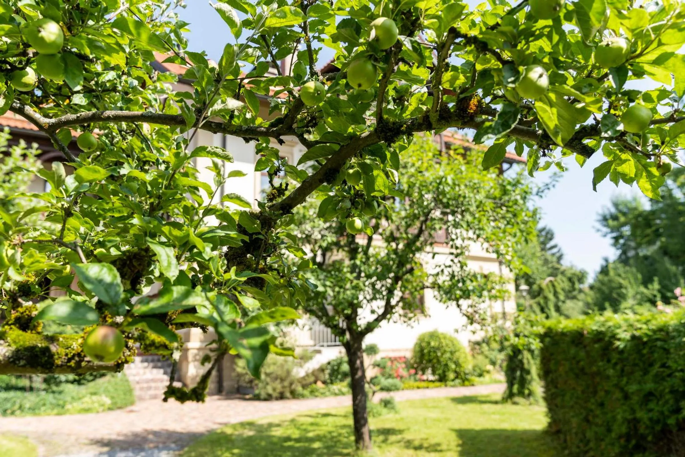 Property building in Villa Fantasia Budget Boutique Hotel