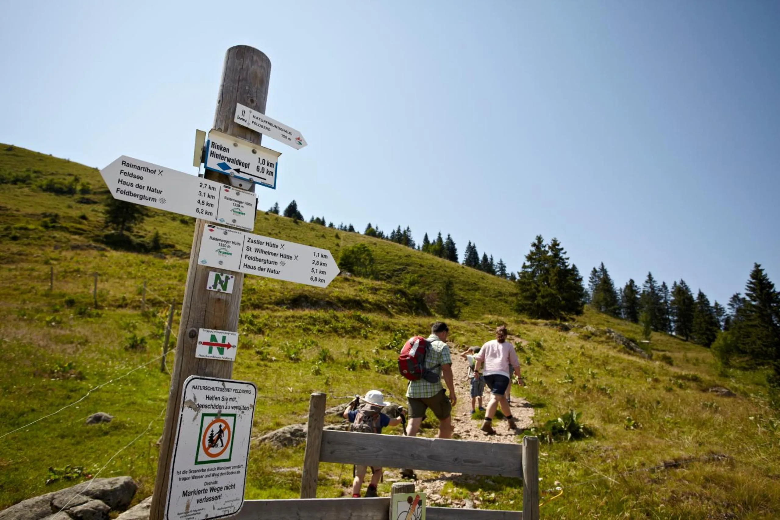 Hiking in Landhotel Bartlehof