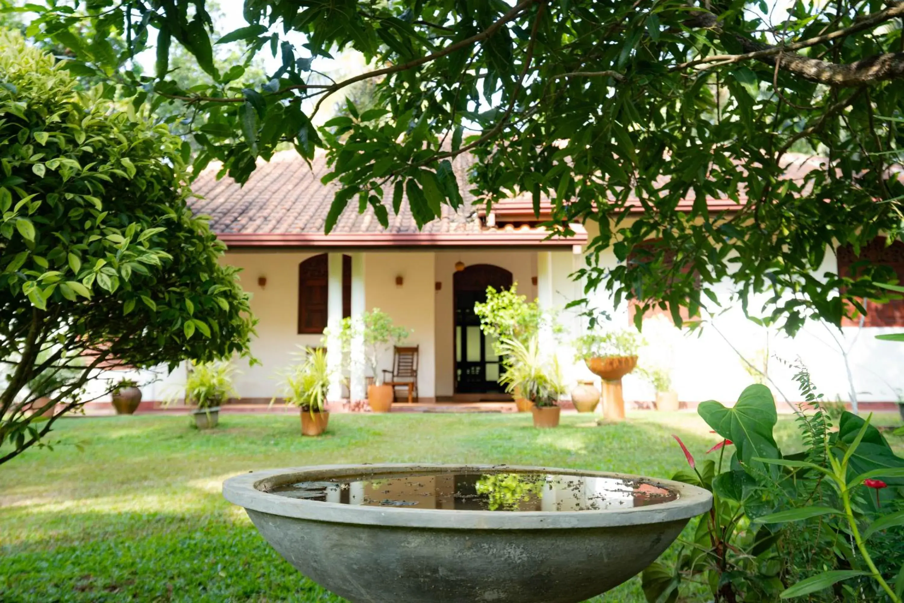 Coconut Treehouse- Villa near Unawatuna Beach Coconut Treehouse- Villa near Unawatuna Beach