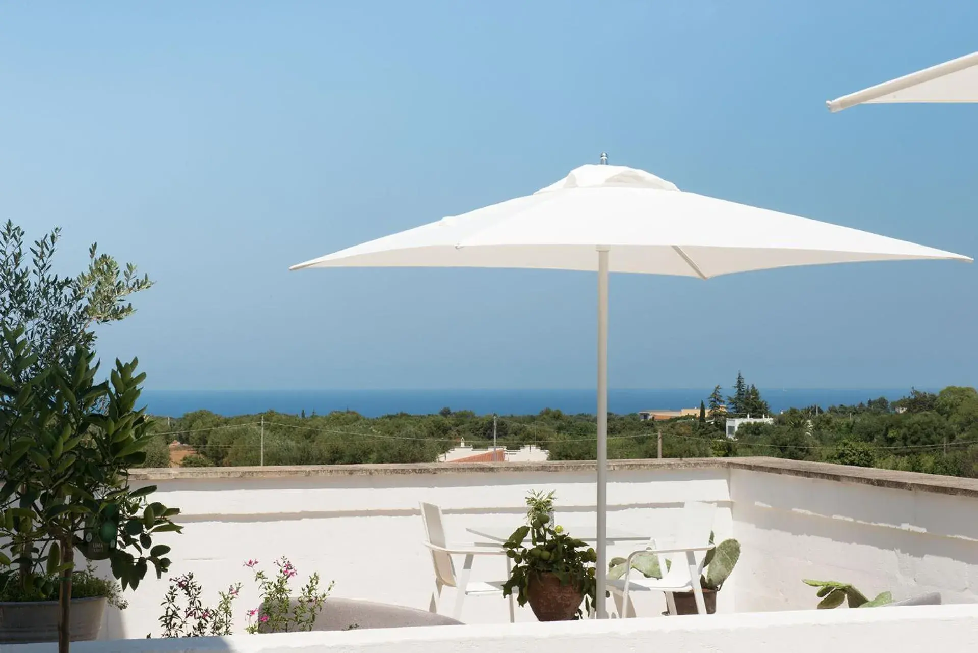 Junior Suite with Pool View - single occupancy in Masseria Le Torri Junior Suite with Pool View - single occupancy in Masseria Le Torri