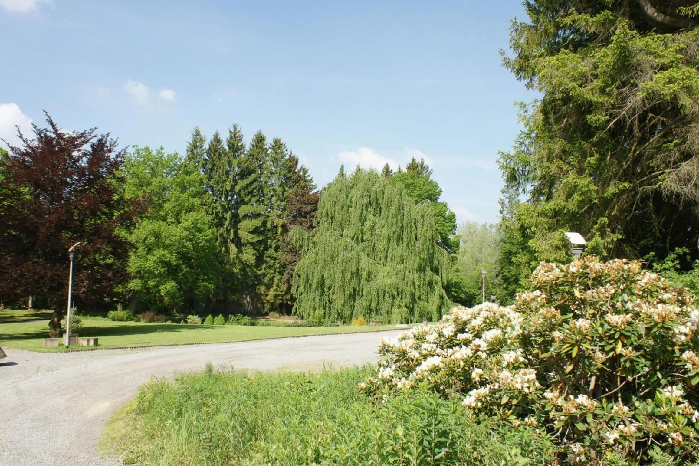 Other in Parkhotel Villa des Effats Vielsalm