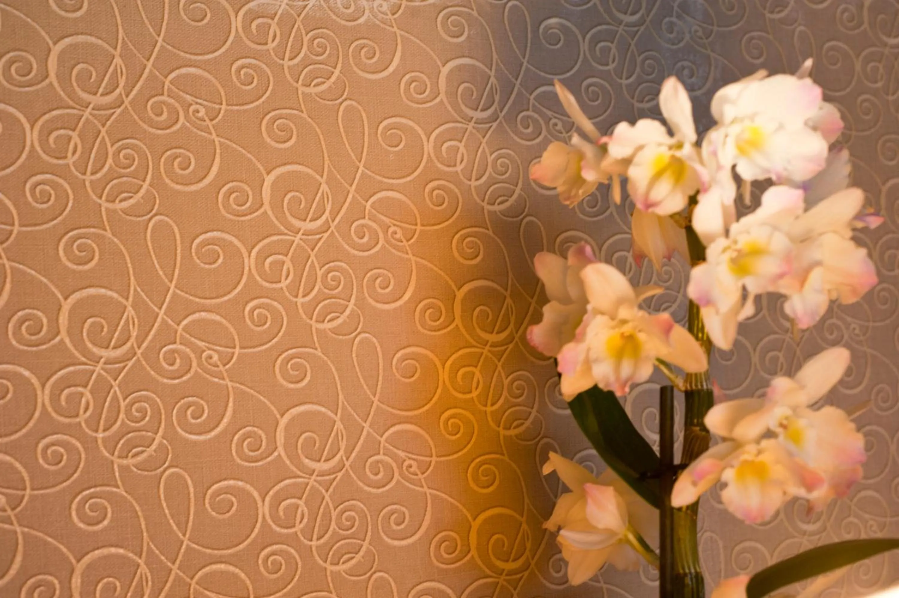 Double Room in Demians