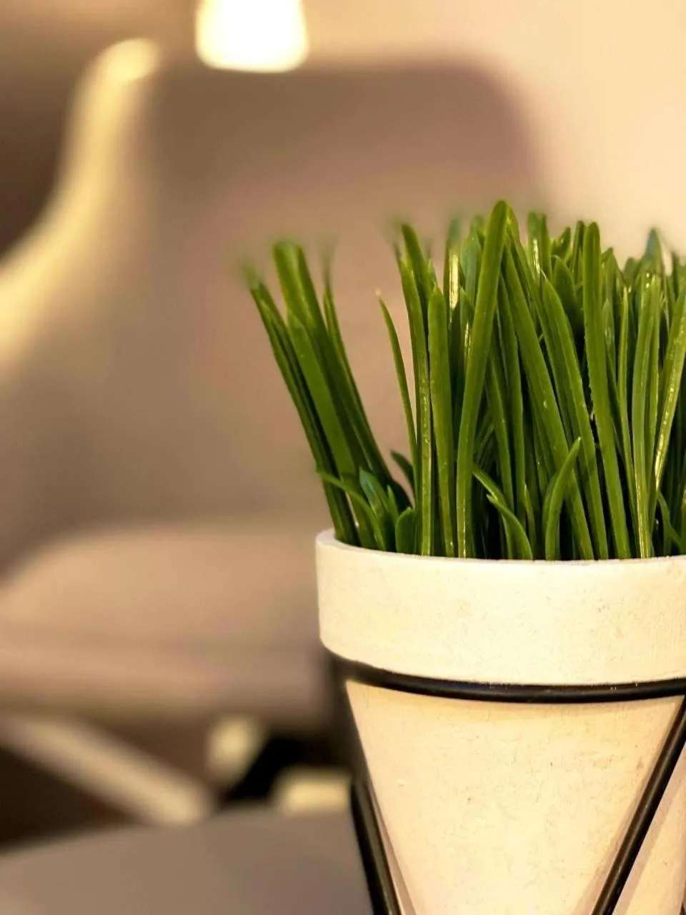 Decorative detail in D & Sons Apartments