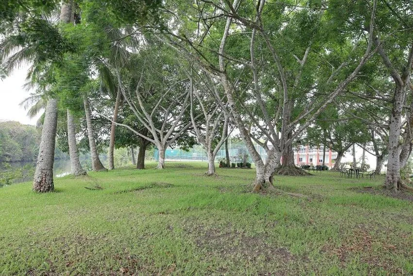 Garden in Hotel Plaza Palmas