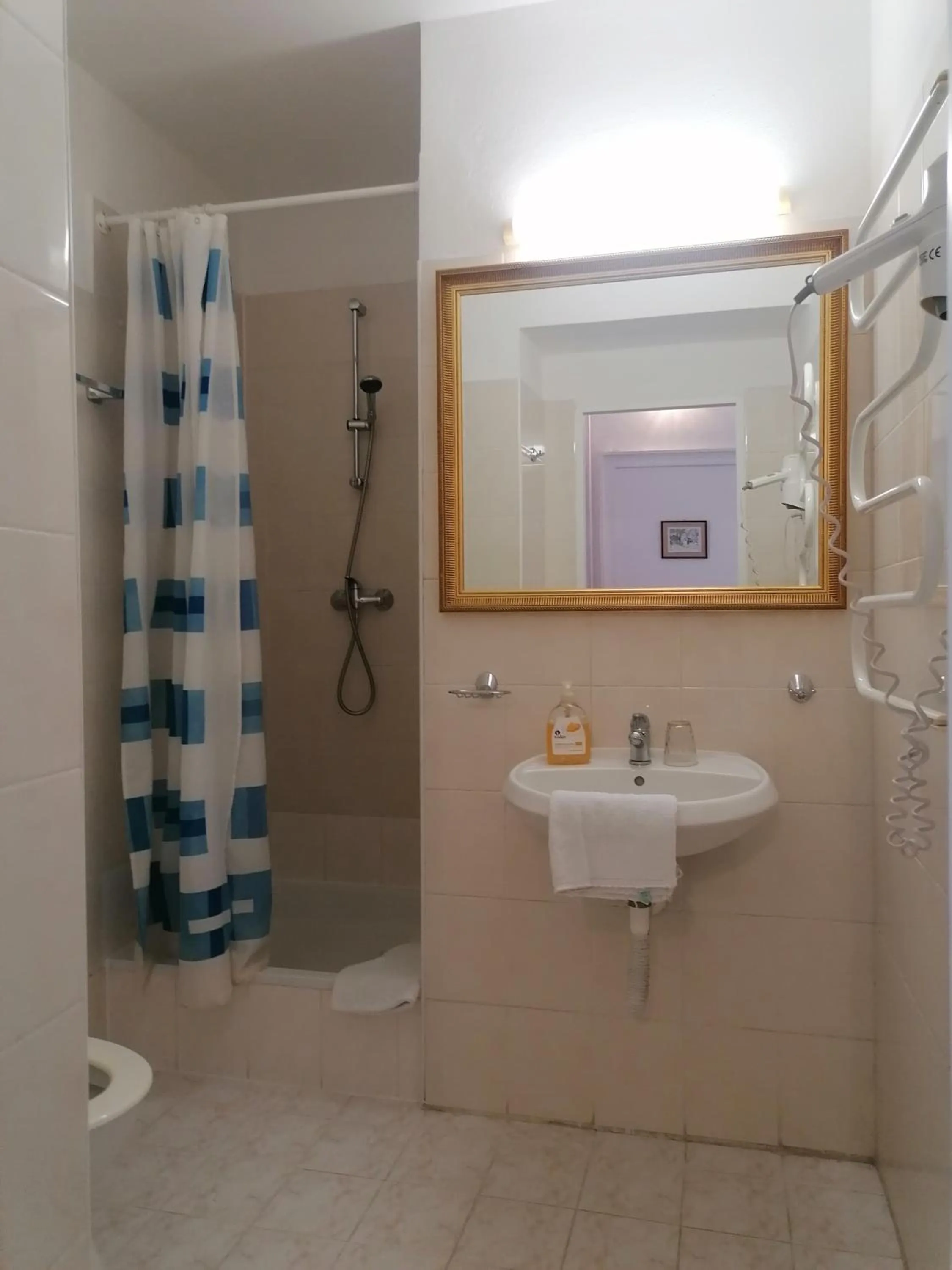 Shower in Hotel Morava