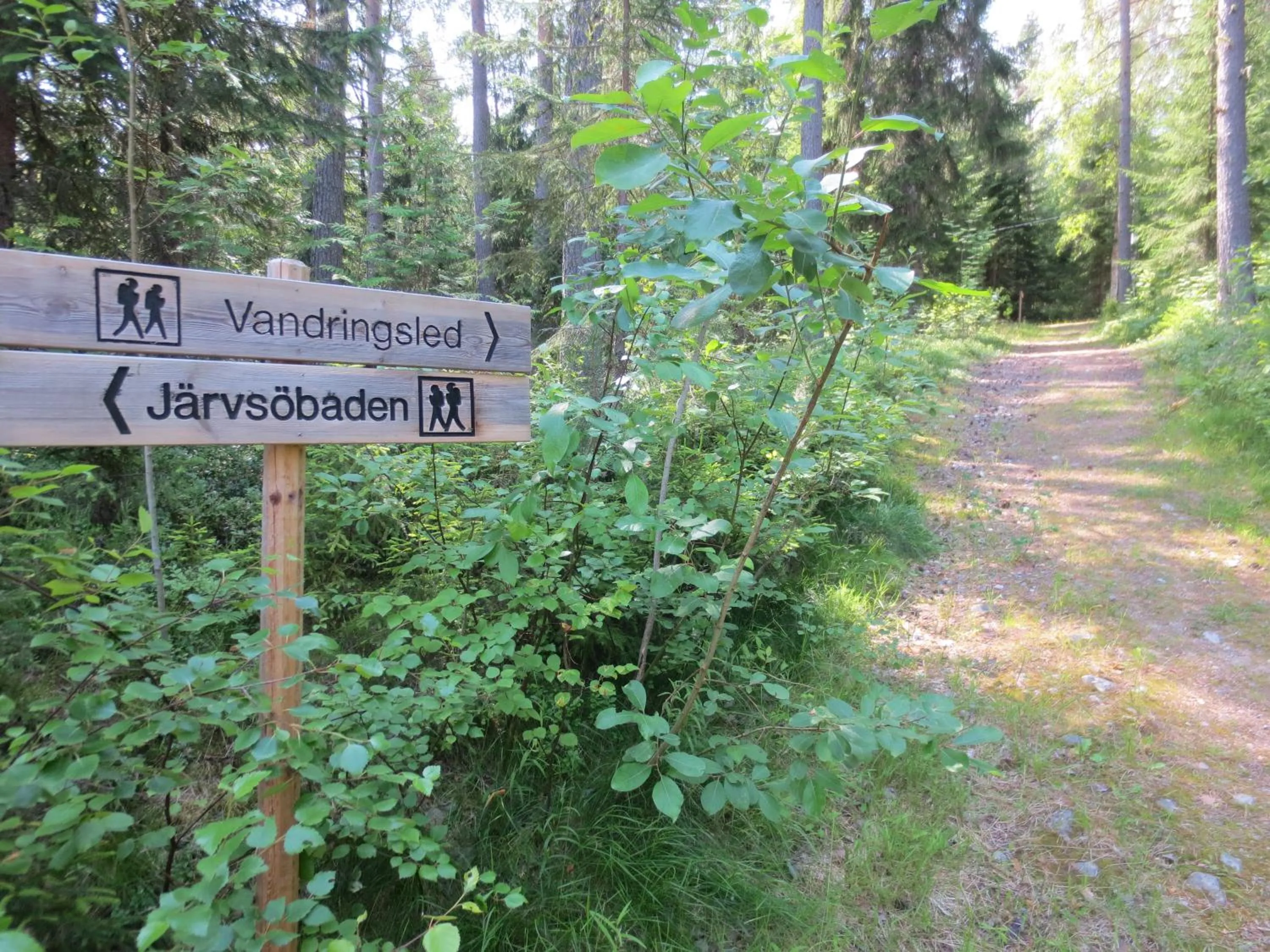 Garden in Järvsöbaden