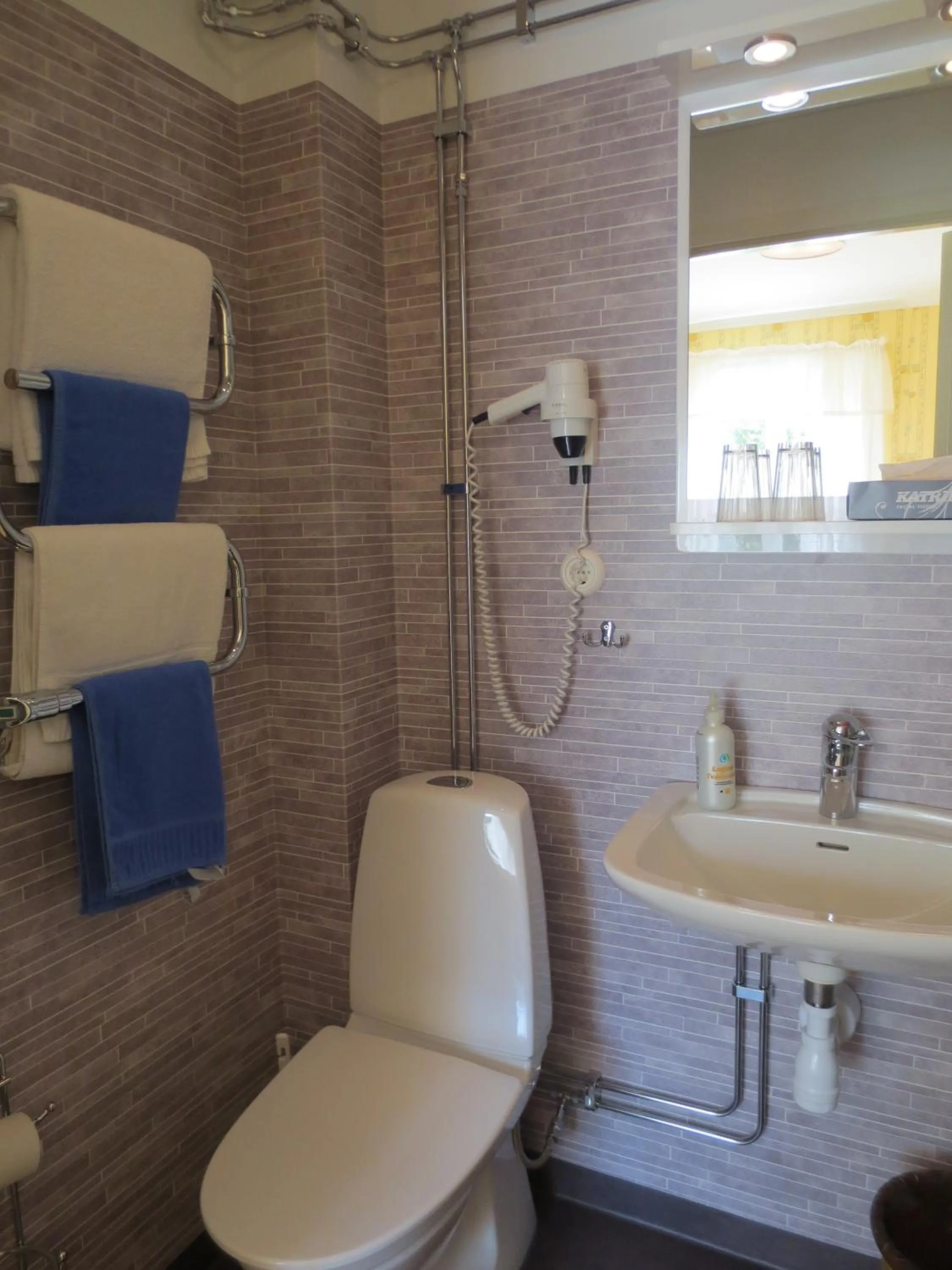 Toilet in Järvsöbaden