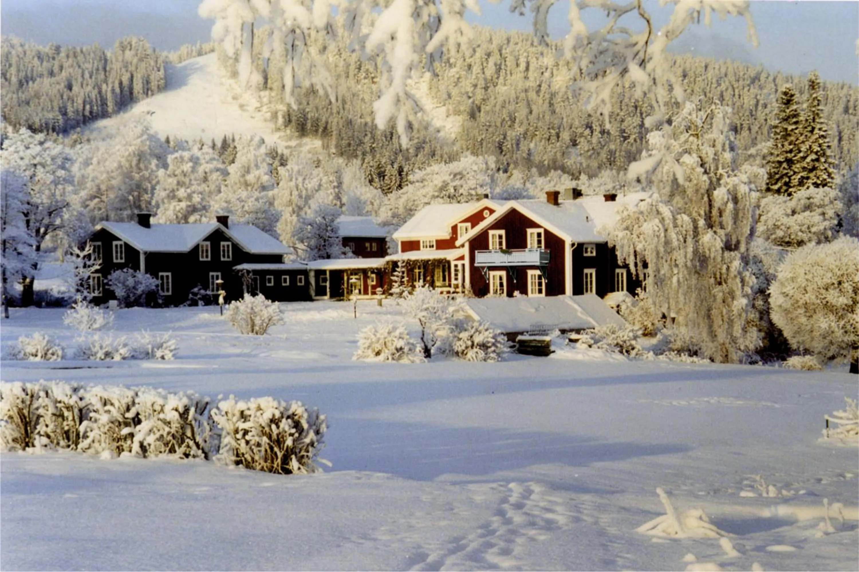 Natural landscape in Järvsöbaden