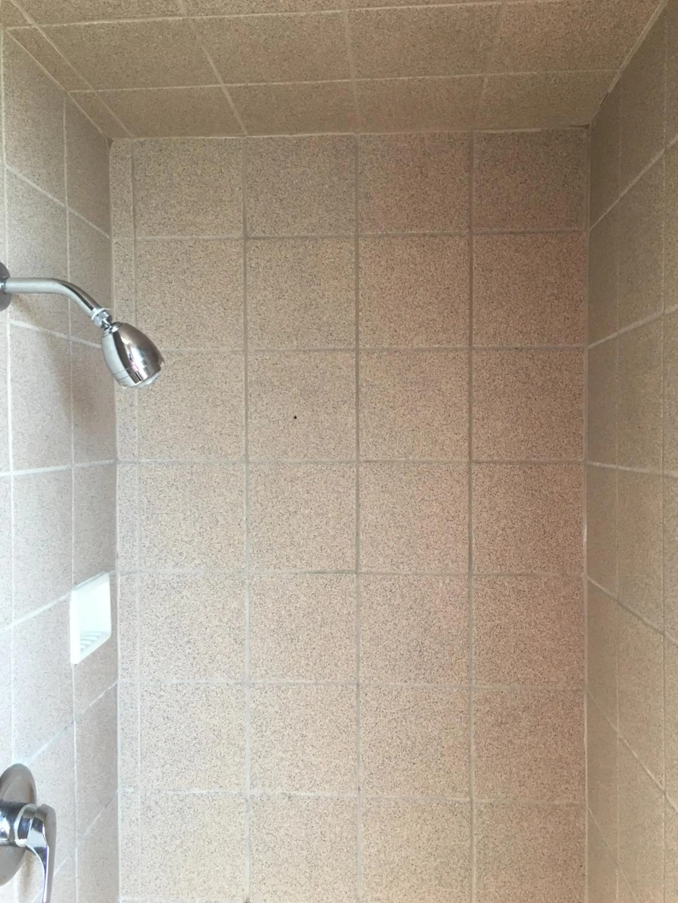 Shower in Motel 6 Richmond CA Civic Center