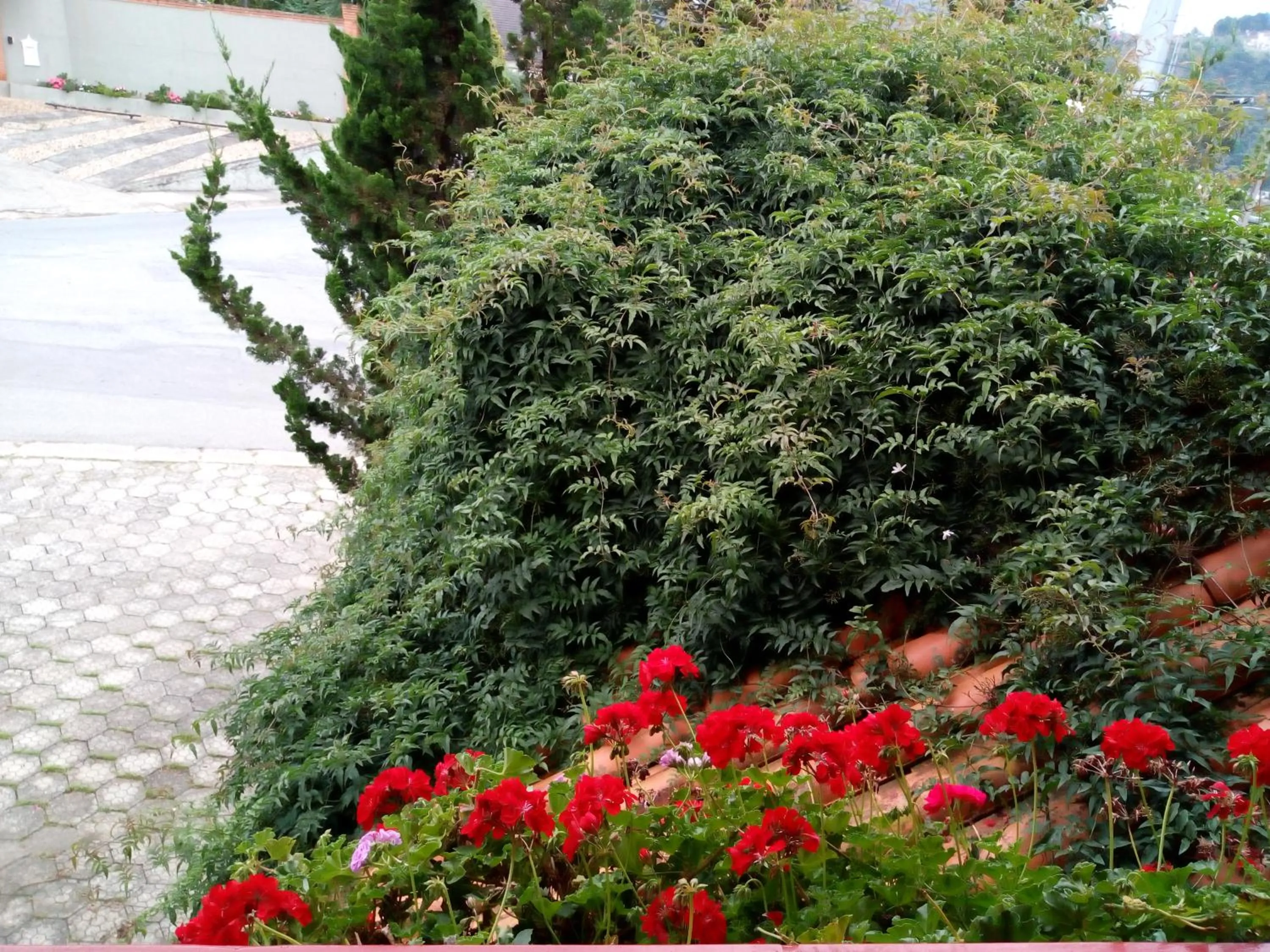 Spring in Pousada Benevento