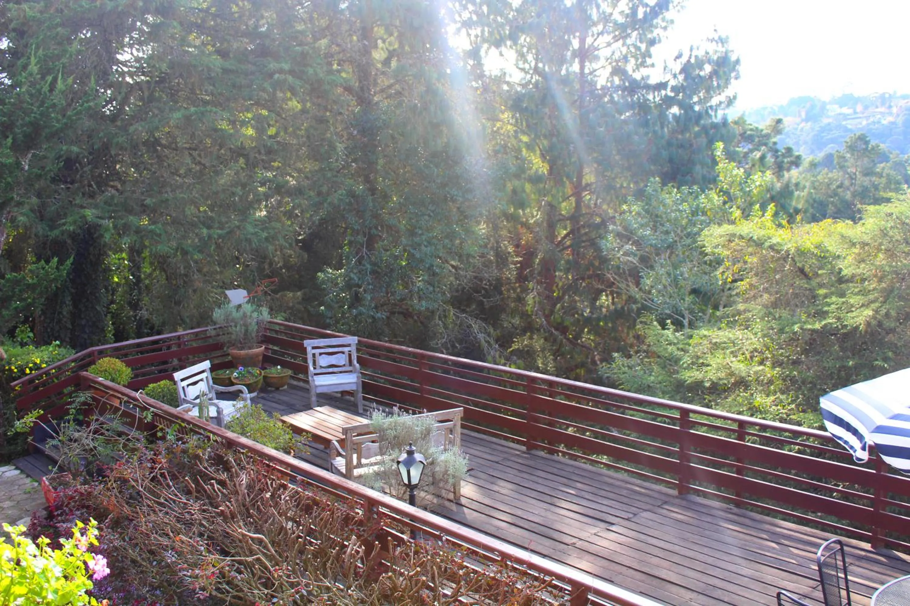 Balcony/Terrace in Pousada Benevento