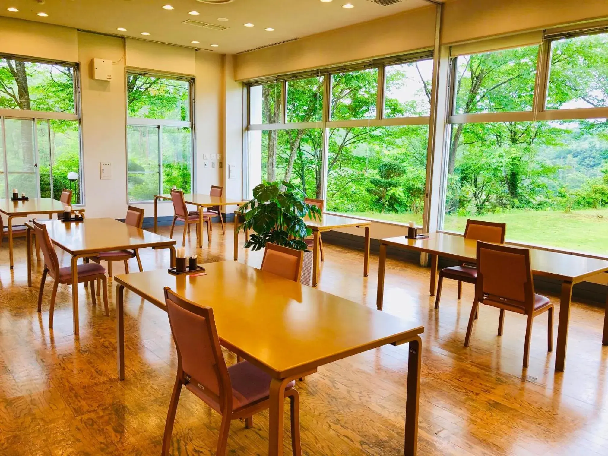 Renaissance Tanagura Renaissance Tanagura