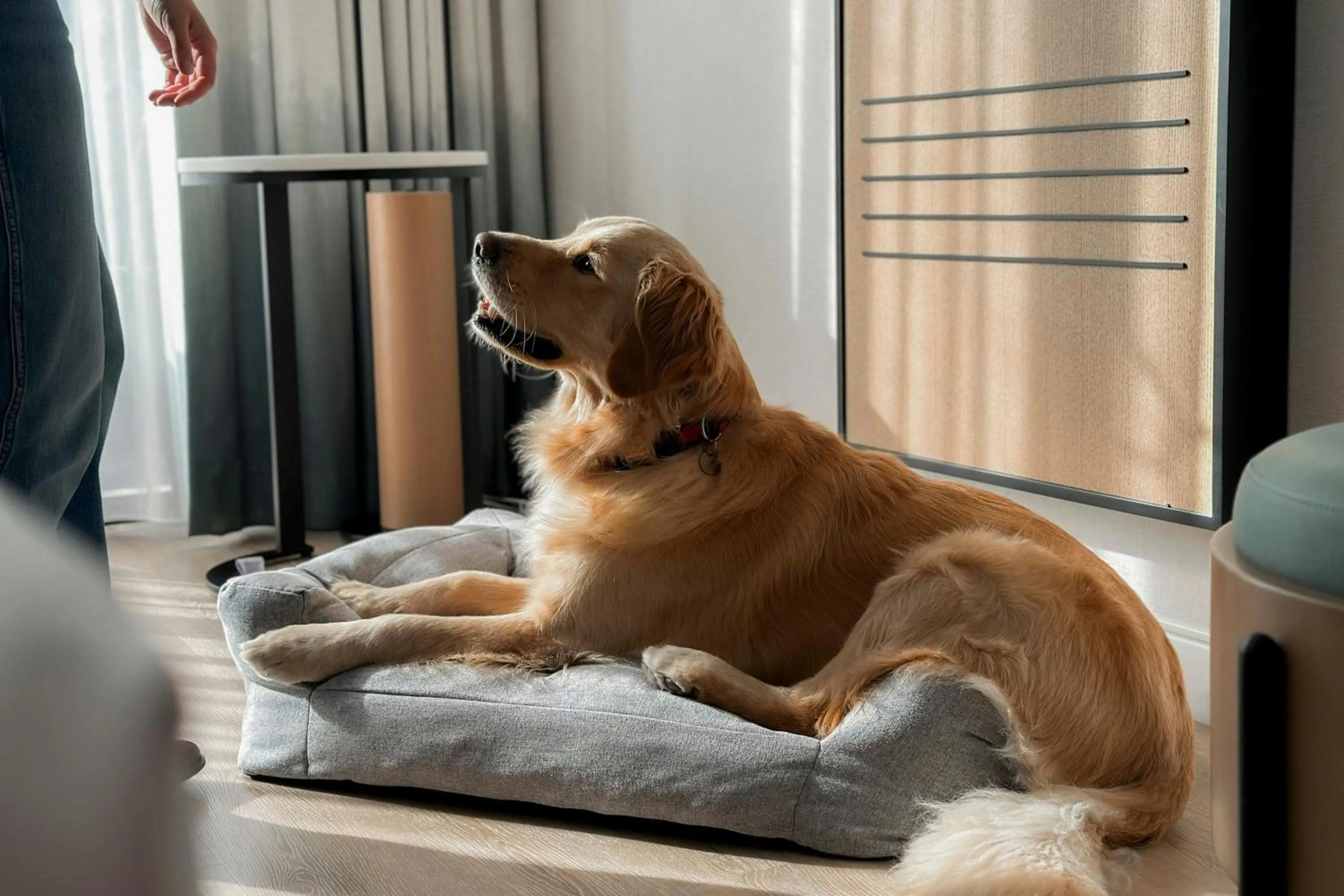 View (from property/room) in Marriott Long Beach Downtown